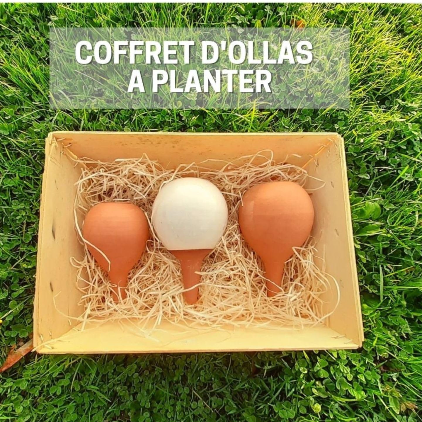 Coffret Cadeau 3 Ollas à Planter en Terre Cuite – Arrosage Autonome Écologique pour Plantes en Pot – Idée Cadeau Jardinage Originale - Fabrication française