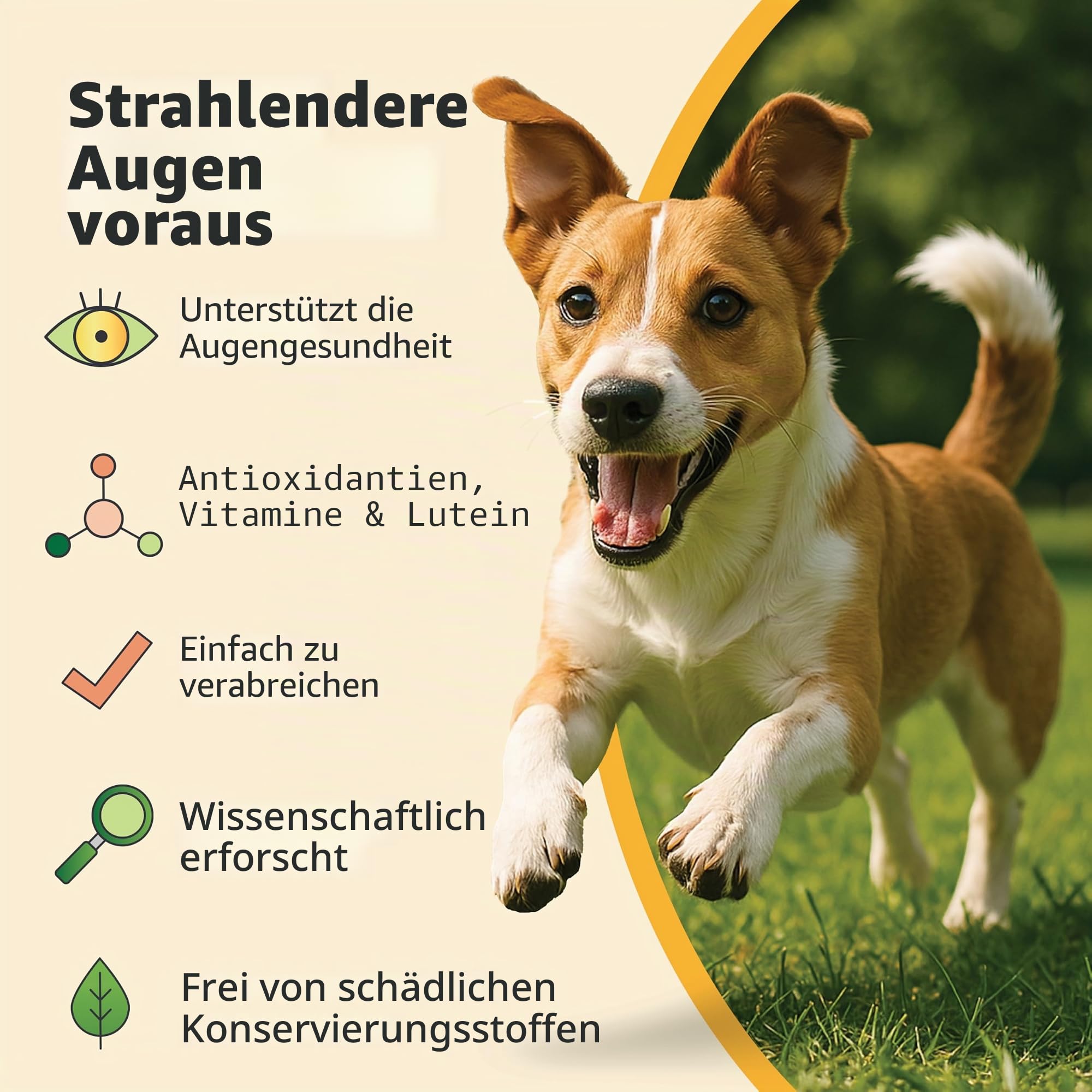 Ocu-GLO Weiche Kauknochen für optimale Sicht, Unterstützung für Hunde und reife Katzen, von Animal Necessity, 60 ct