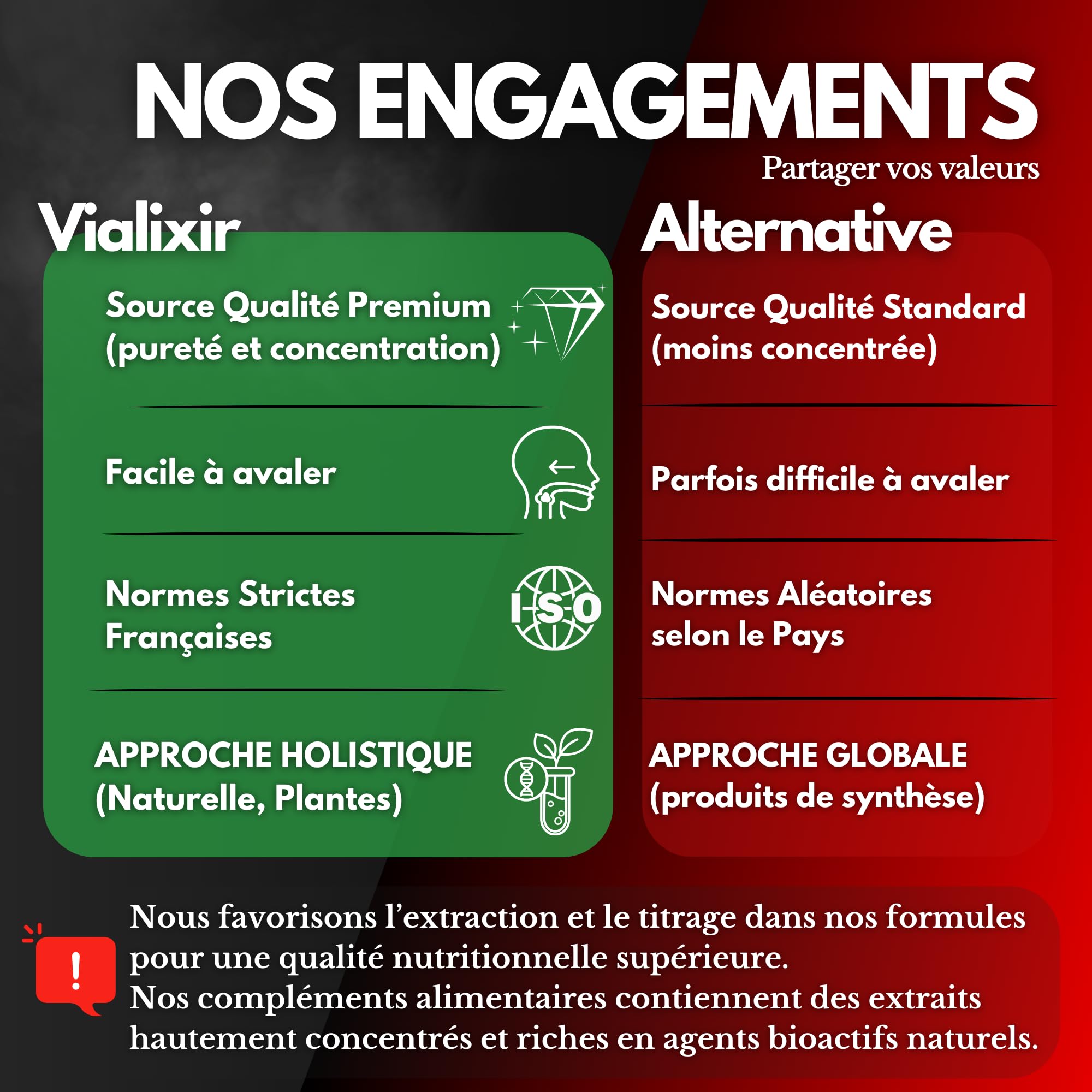 Extrait de Ginseng Rouge de Corée | Extra Fort 6000mg/jour 60 Gélules | Énergie, Vigueur, Circulation Sanguine Concentration | Panax Meyer 10:1 + Eleuthérocoque + Rhodiola | Qualité Française Vialixir