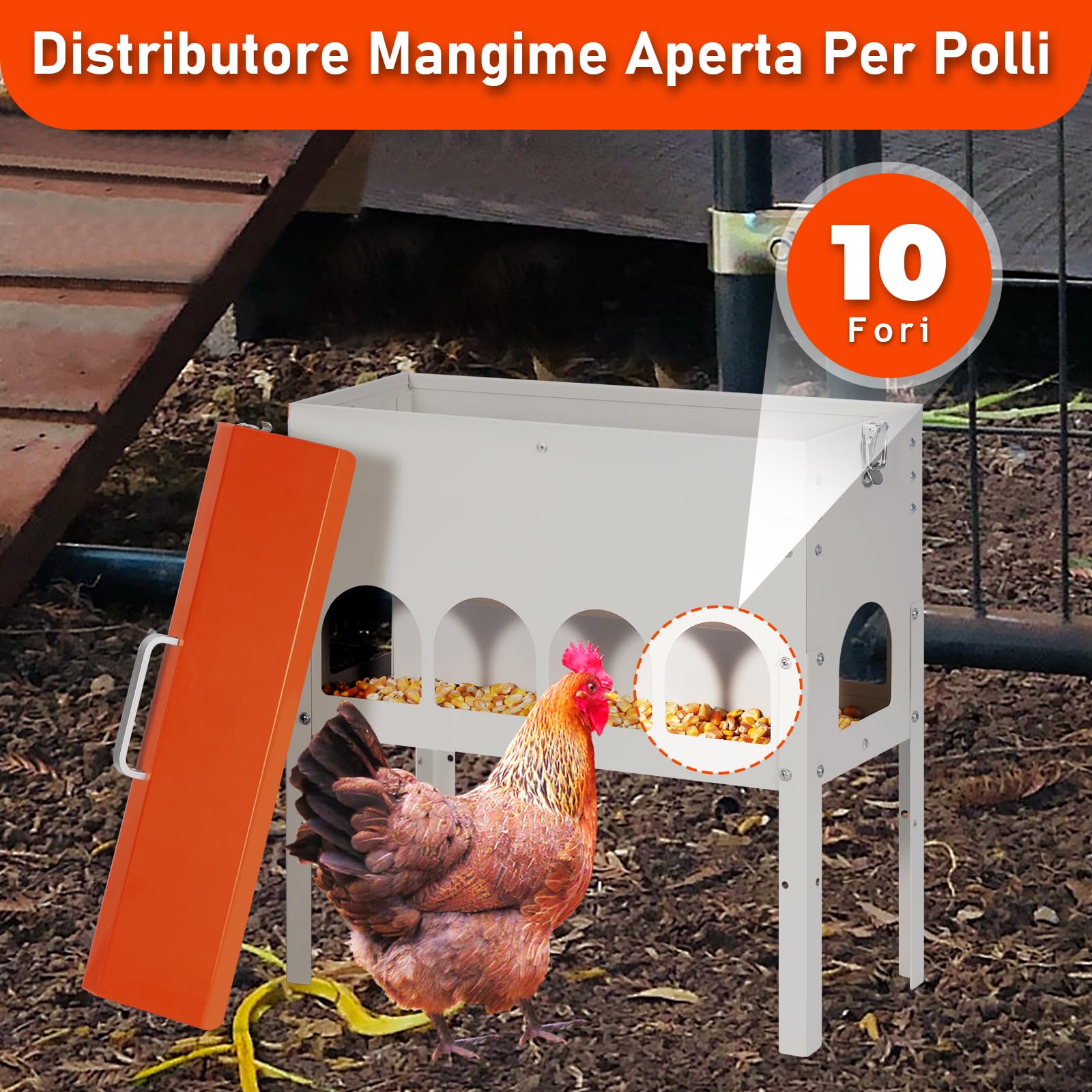 Mangiatoia Automatica Per Galline, 5kg, Distributore Automatico Di Mangime Per Polli, Alimentatore Per Anatre E Piccioni, Può Essere Sollevato, Antispreco, Accessori Per Pollame