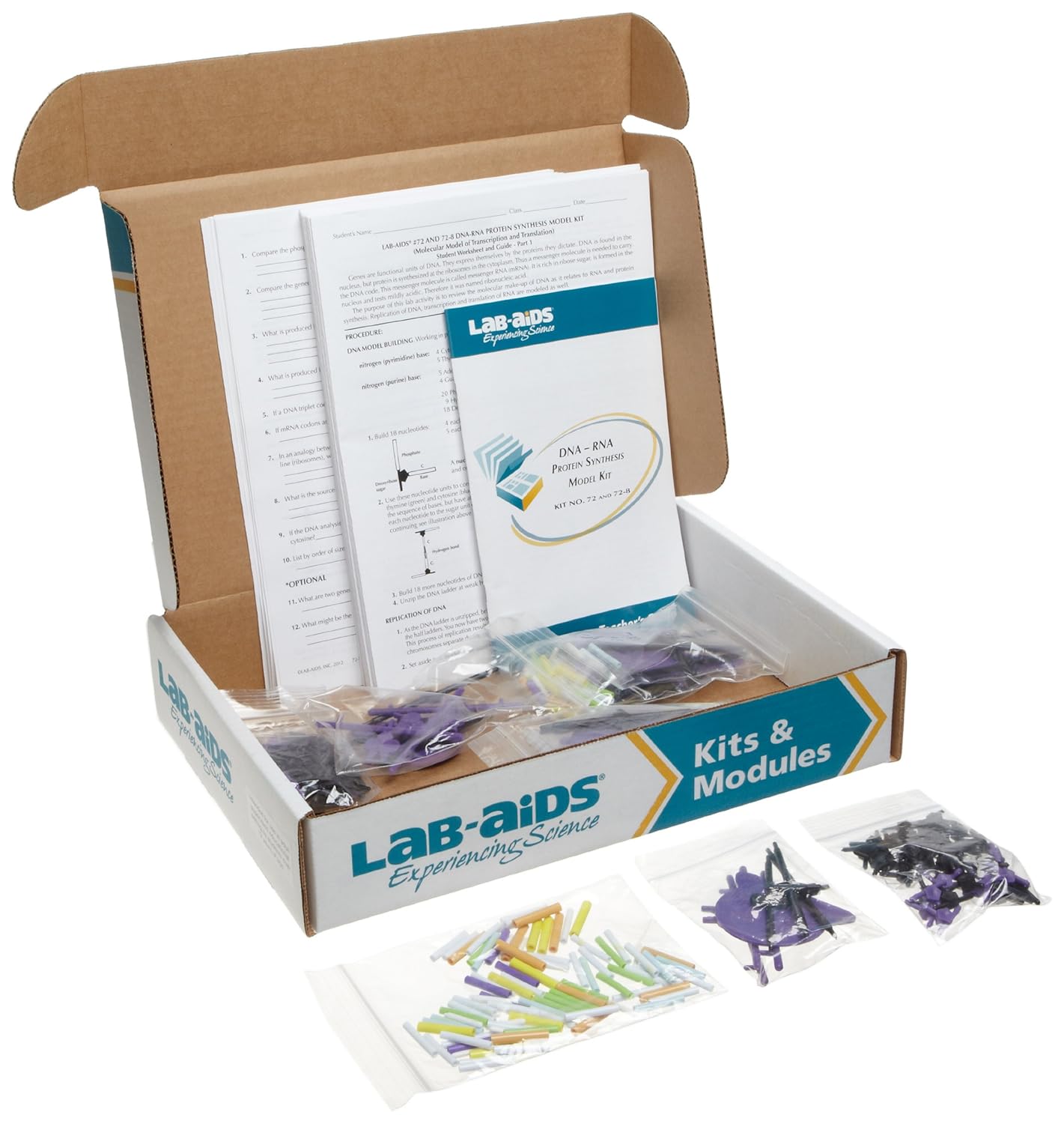LabAids 72 186 Piece DNA, RNA Protein Synthesis Modeling Kit Amazon
