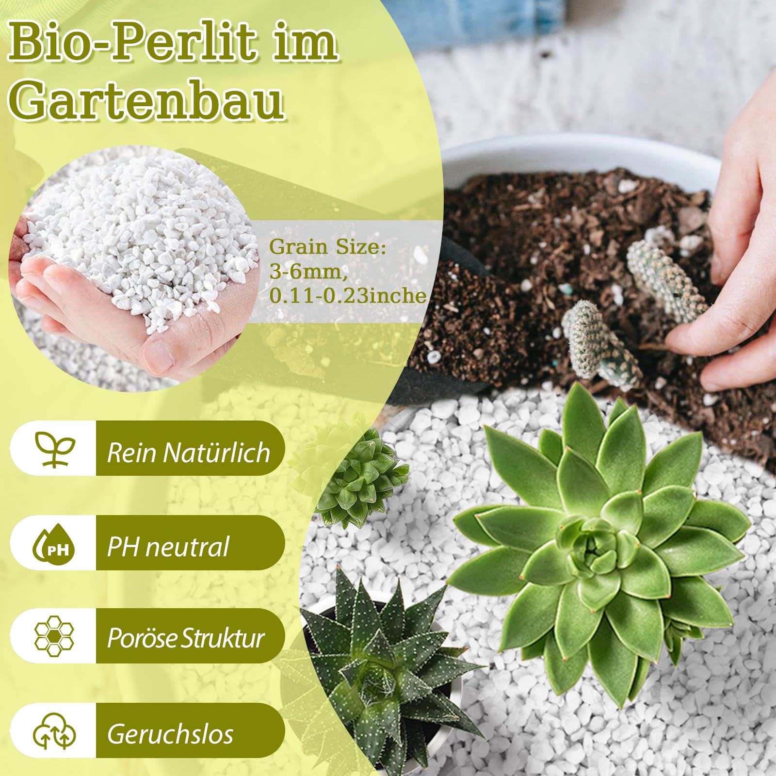 Riare Perlite für Pflanzen Natürliches Perlit für Pflanzen Erden- und Substratverbesserung Verbessert Feuchtigkeitsspeicher Substrat für Garten & Zimmerpflanzen