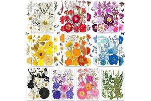 TrendCart Dried Flower Stickers: Aesthetic Botany for Your DIY Dreams