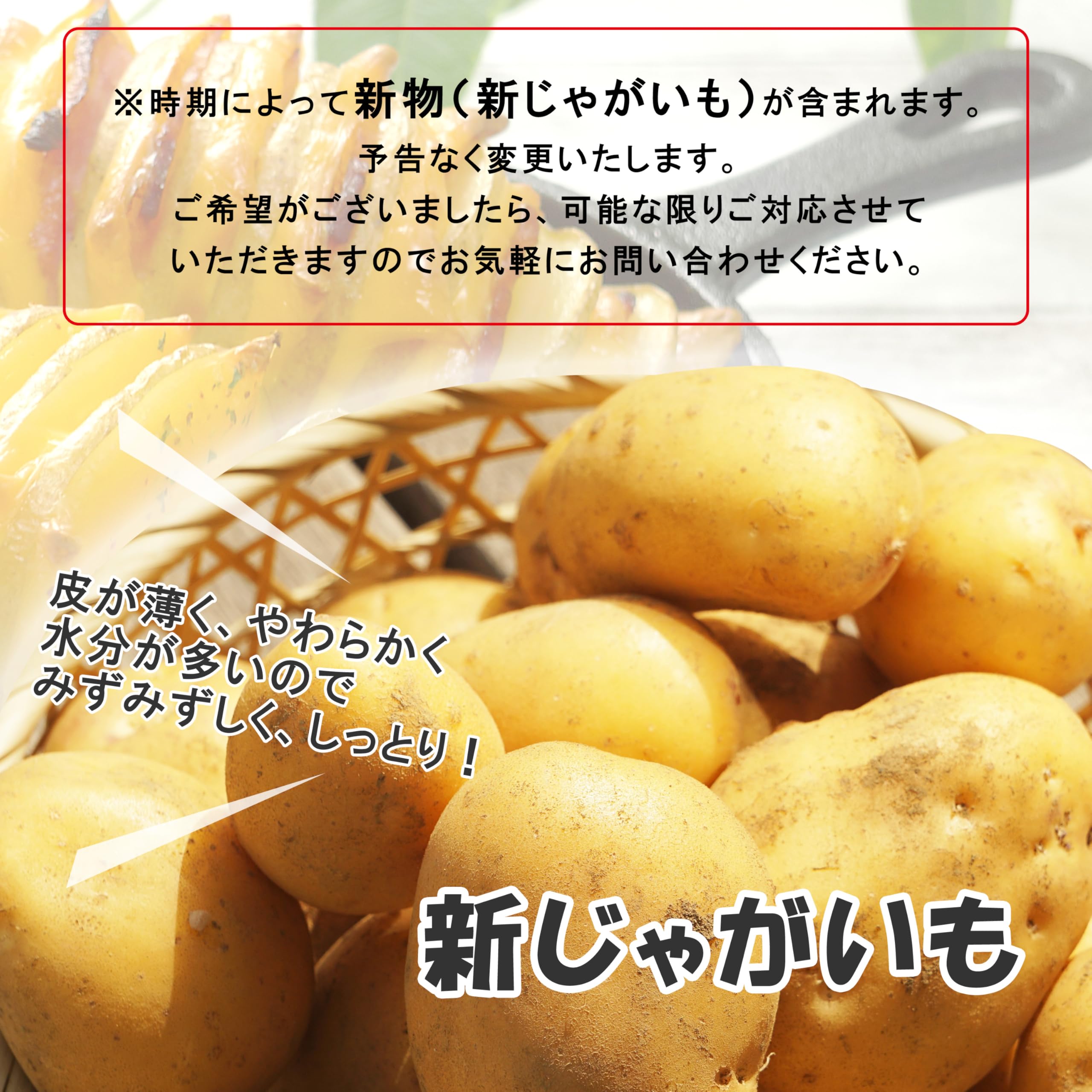 Amazon.co.jp: 新じゃがいも 新じゃが ポテト ジャガイモ じゃが 野菜 