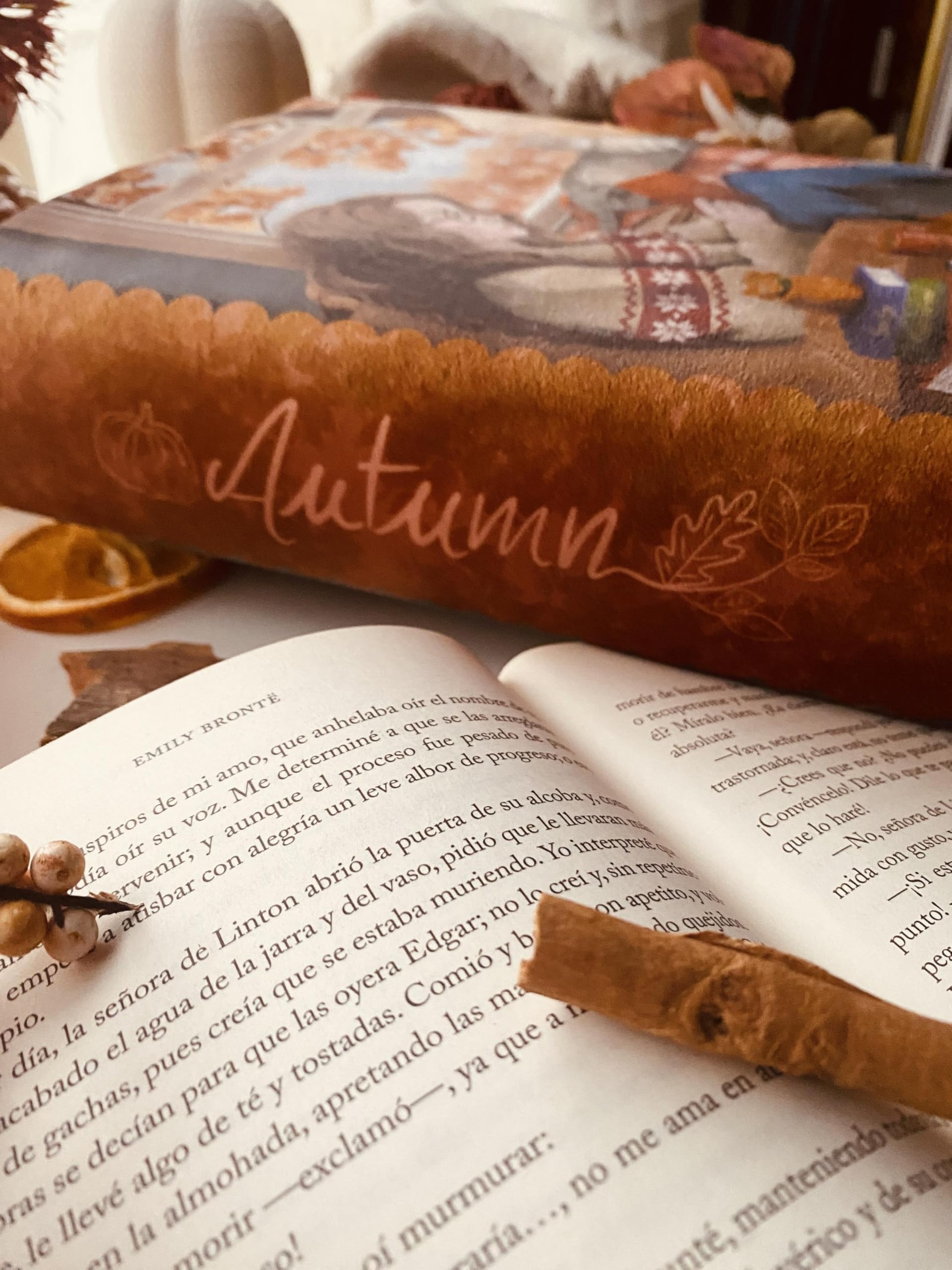 Funda artesanal solapa ajustable Junto a la ventana + marcapáginas de regalo, funda de terciopelo, acolchada. Regalo ideal para personas lectoras