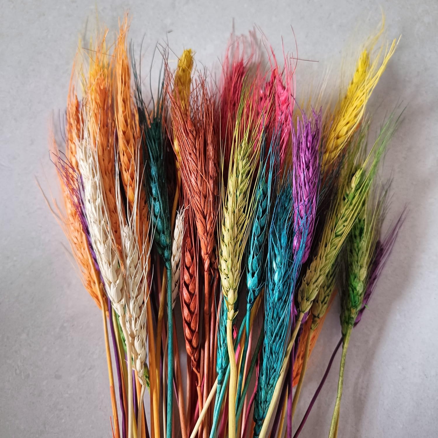 Dried Pampas Grass Set - Boho Home Decor -7