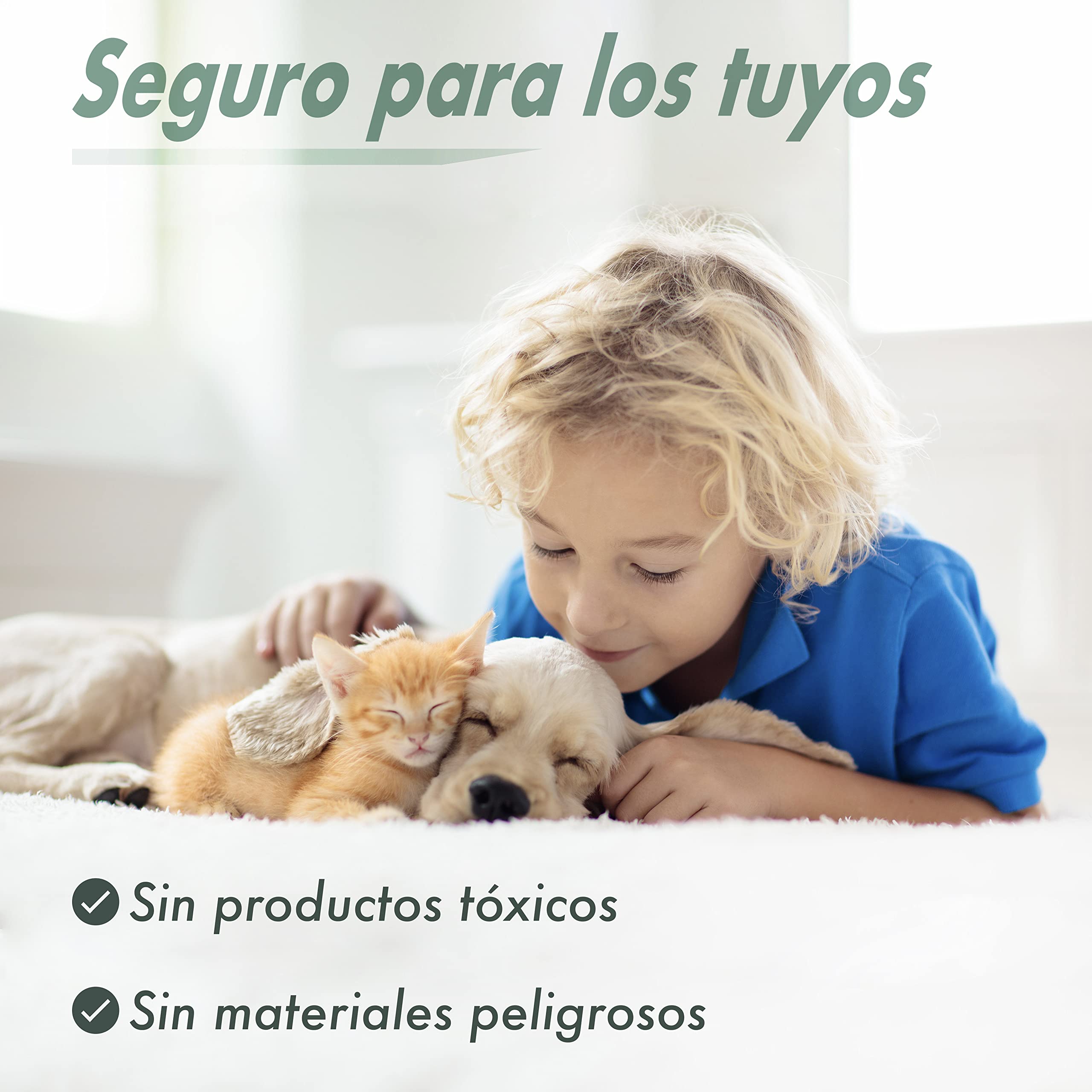 Jaula Trampa para Gatos, Perros, Hurones o Conejos | Respetuosa con el Animal, Captúralo Vivo | Plegable, con Una Entrada | Pintada en Verde, Inoxidable | 94x31x34 cm