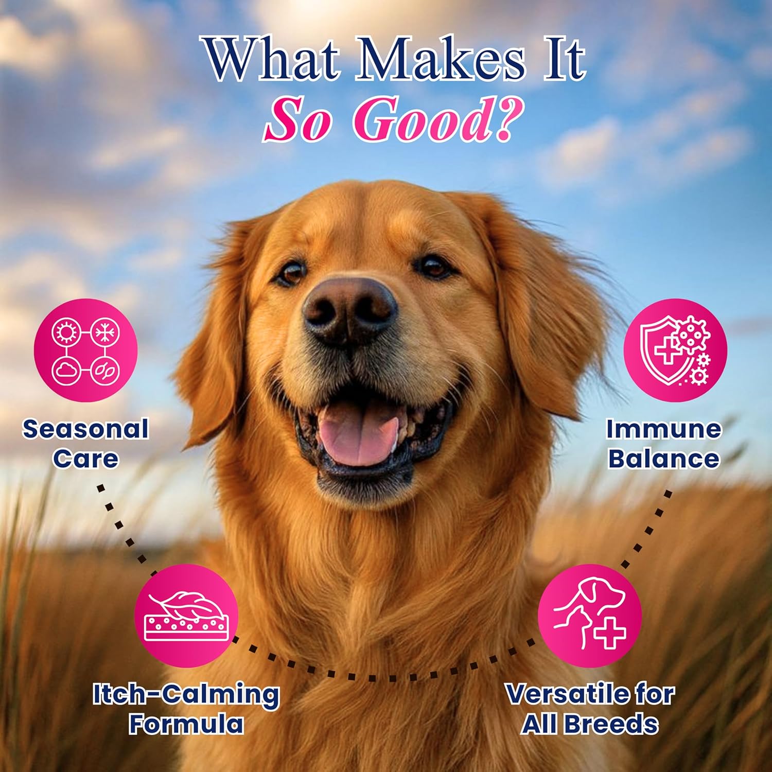 Dog Allergy & Itch Support Chews – Dog Allergy and Immune Chews – Skin, Coat & Seasonal Itch Relief – Dogs Allergy Chews- Dogs Itch Relief - Skin Allergy Relief (50 Soft Chew)