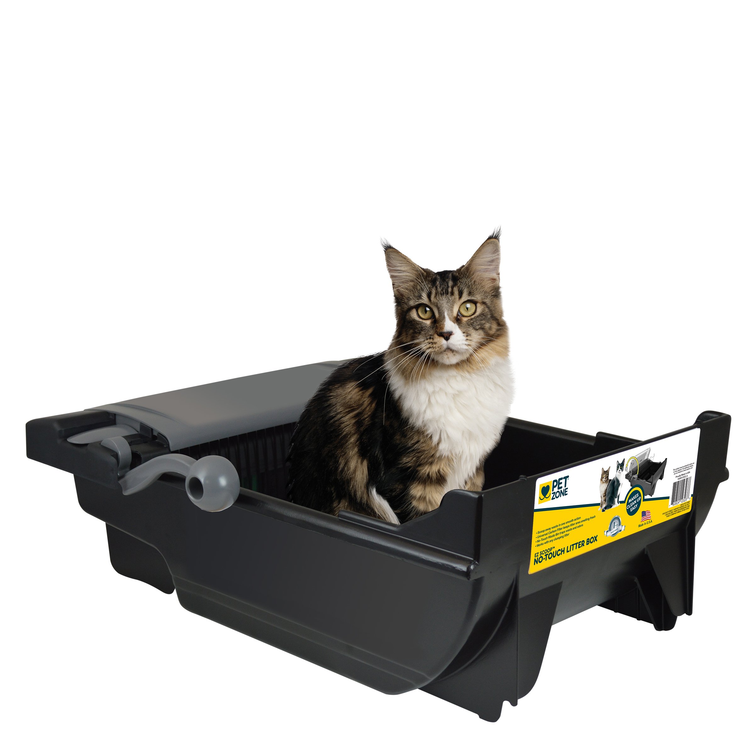 my dog is very lethargic today