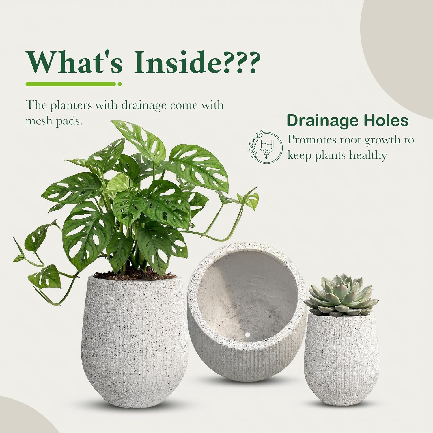 DTY Premium Mt Wilson Tall Tapered Fiberstone Planter for Indoor Outdoor Use, Modern Large Olive Tree Pot with Drainage Hole, 2 Extra Coco Mats. Ribbed White, Small 11'' D x 12'' H. 8.3” Pot Opening