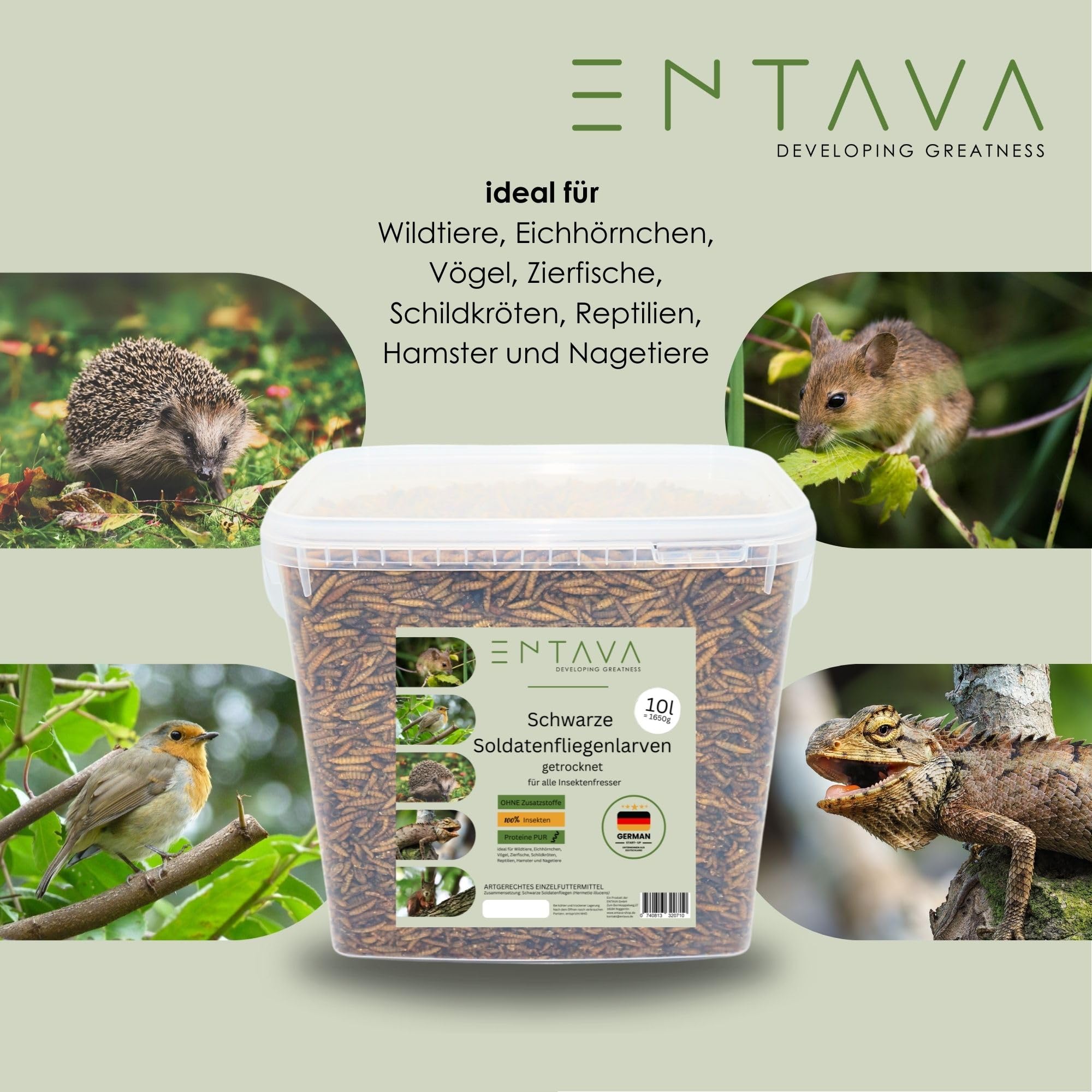 Soldatenfliegenlarven getrocknet 10l (1400g) - Getrocknete Insekten in Premium-Qualität, Soldatenfliegen für Vögel, Amselfutter, Koifutter, Igelfutter, Eichhörnchenfutter, Futter für Wildvögel