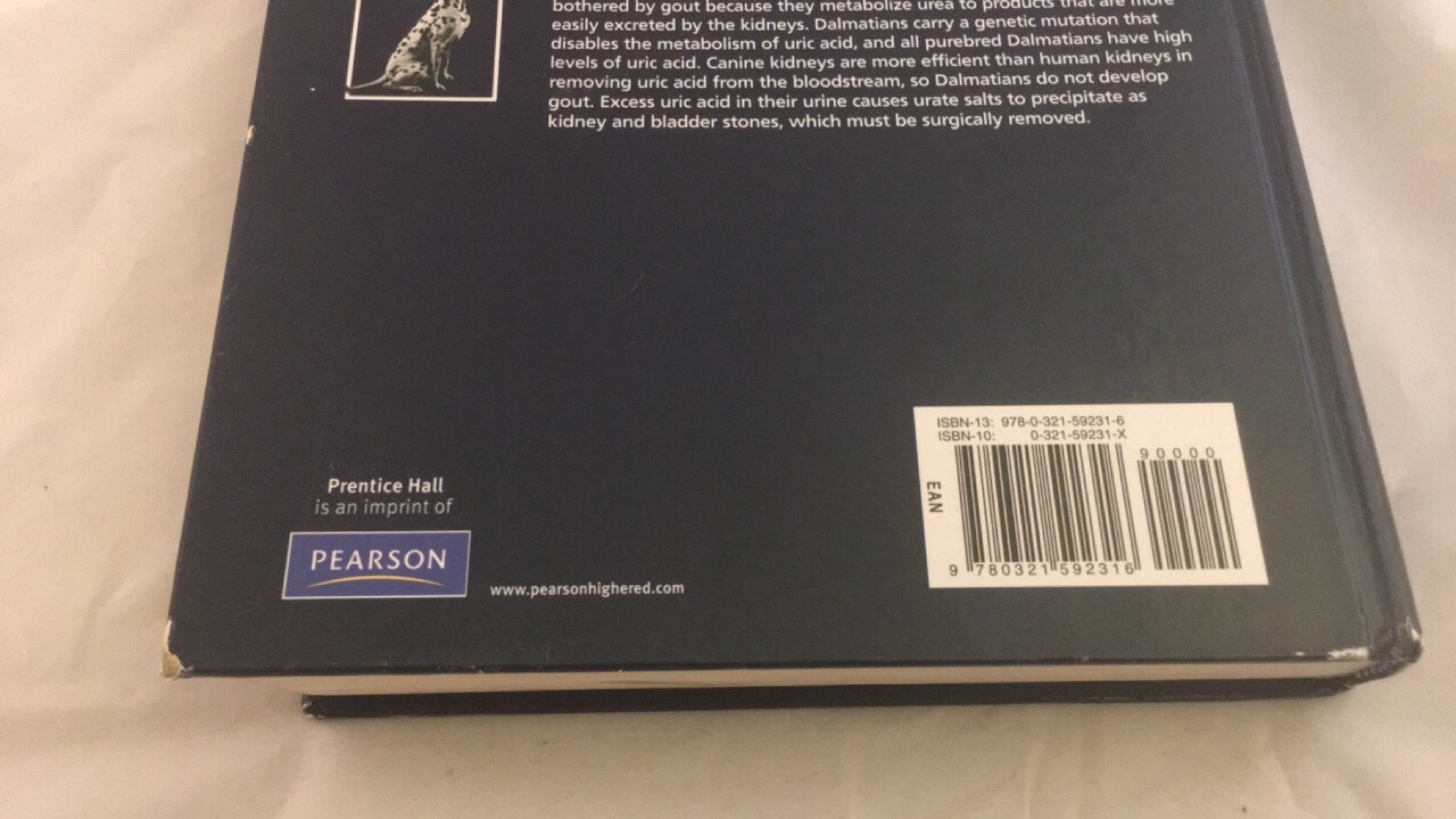 Organic Chemistry - Image 8