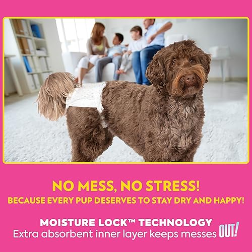 Miniatura 6 de Out! PetCare - Pañales desechables para perras, entrenamiento para ir al baño, pañales para perros, perrita en celo, entrenamiento de cachorros,