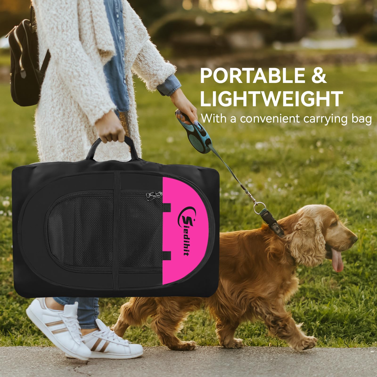View 7