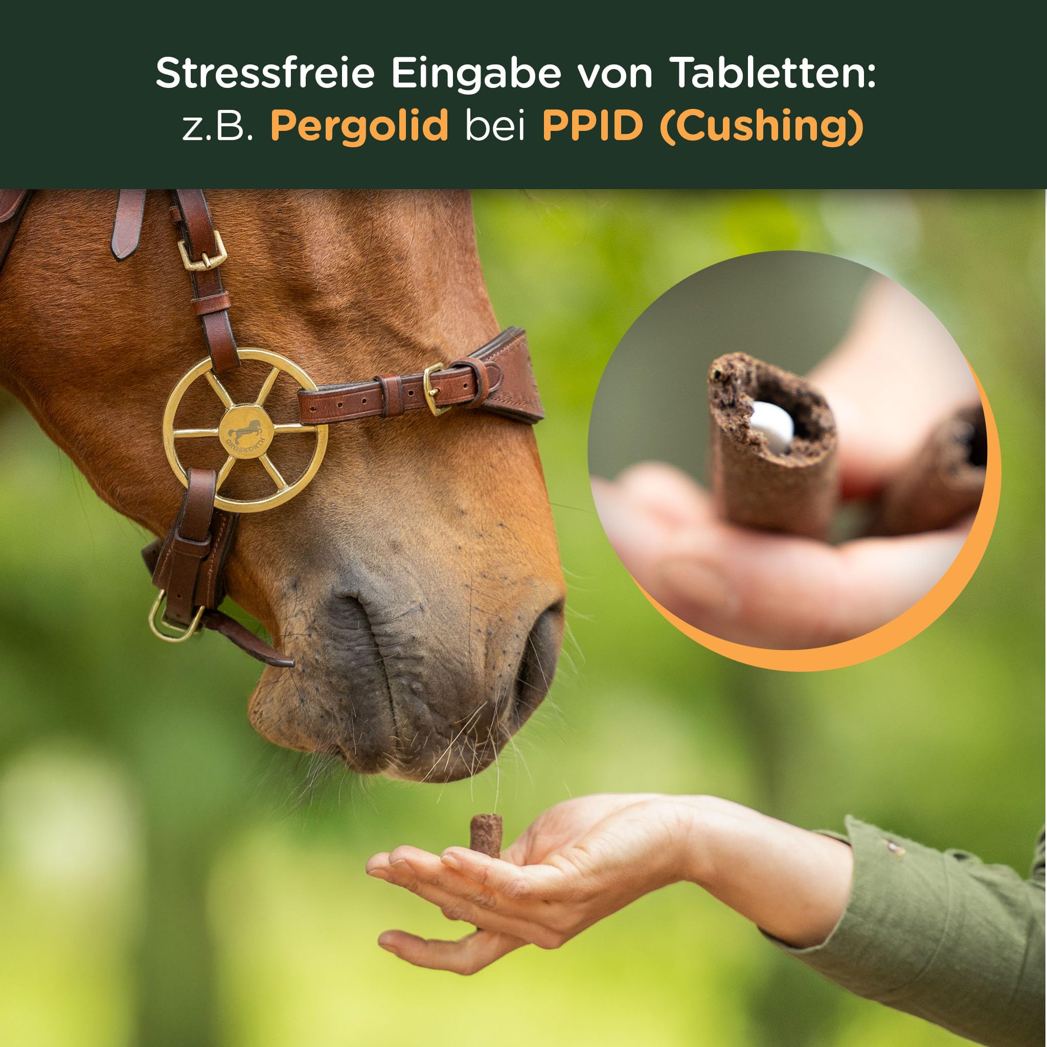 winnies® Trojaner Tabletten-Versteck für Pferde – gebackener Leinsamen-Fenchel-Stick mit Tablettenkammer – stressfrei – getreidefreies Ergänzungsmittel – ideal bei PPID/Cushing – 500 g