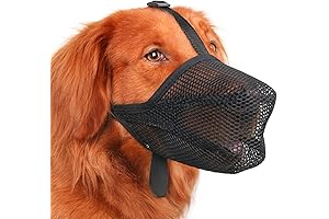 Leerburg Muzzle: The Ultimate Safeguard for Your Canine Companion