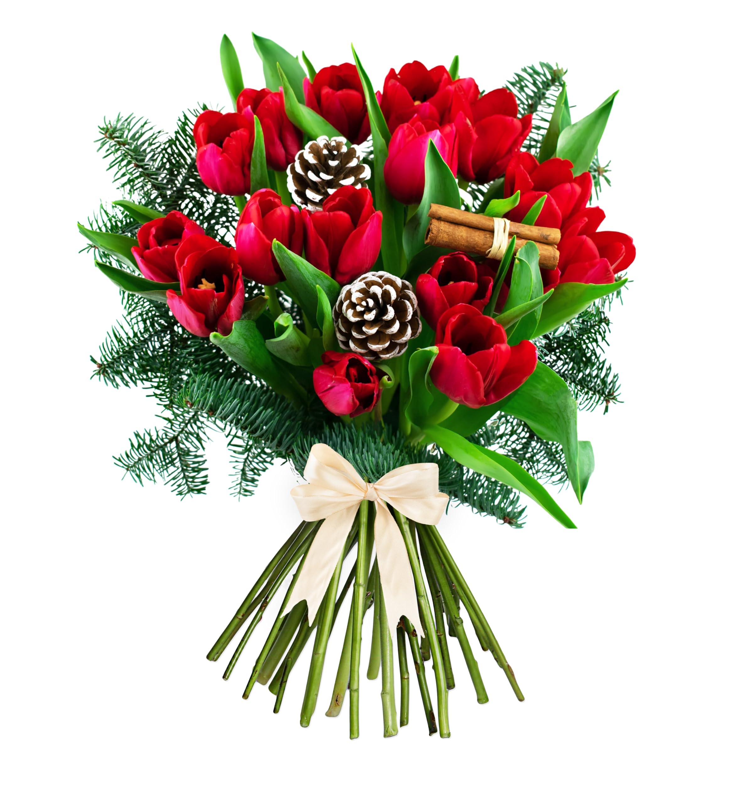 Christmas Tulips Bouquet - Fresh Christmas Flowers – Festive Floral Arrangements for Holiday Décor, Gifts, Celebrations, Winter Weddings, Seasonal Cheer, and Special Gatherings. (Medium)