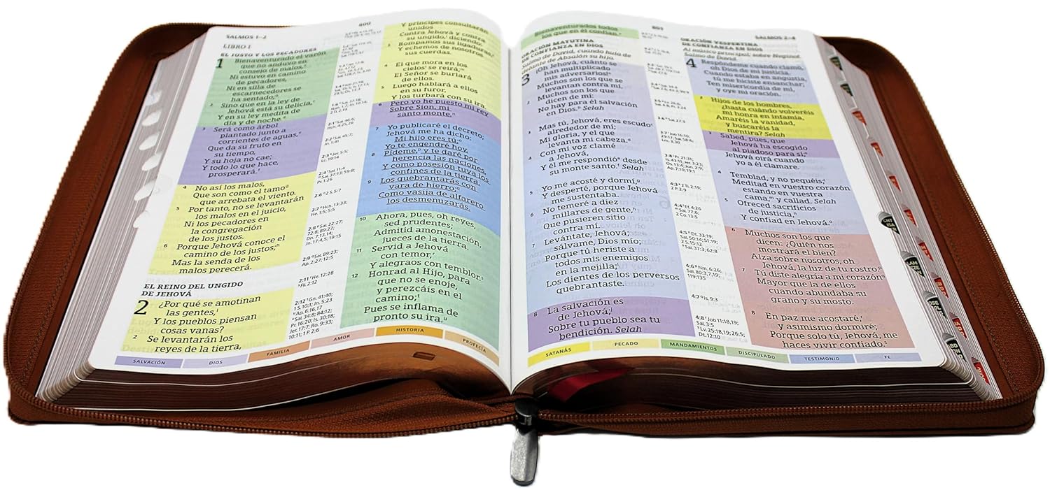 Biblia de Estudio Reina Valera 1960 ArcoIris en nueva letra grande con Cierre Indice Senti Cuero color Cafe con Estuche de proteccion. Edicion Especial Una cosa he demandado a Jehova esta buscare Coleccion Celestial      Imitation Leather – June 1, 2025