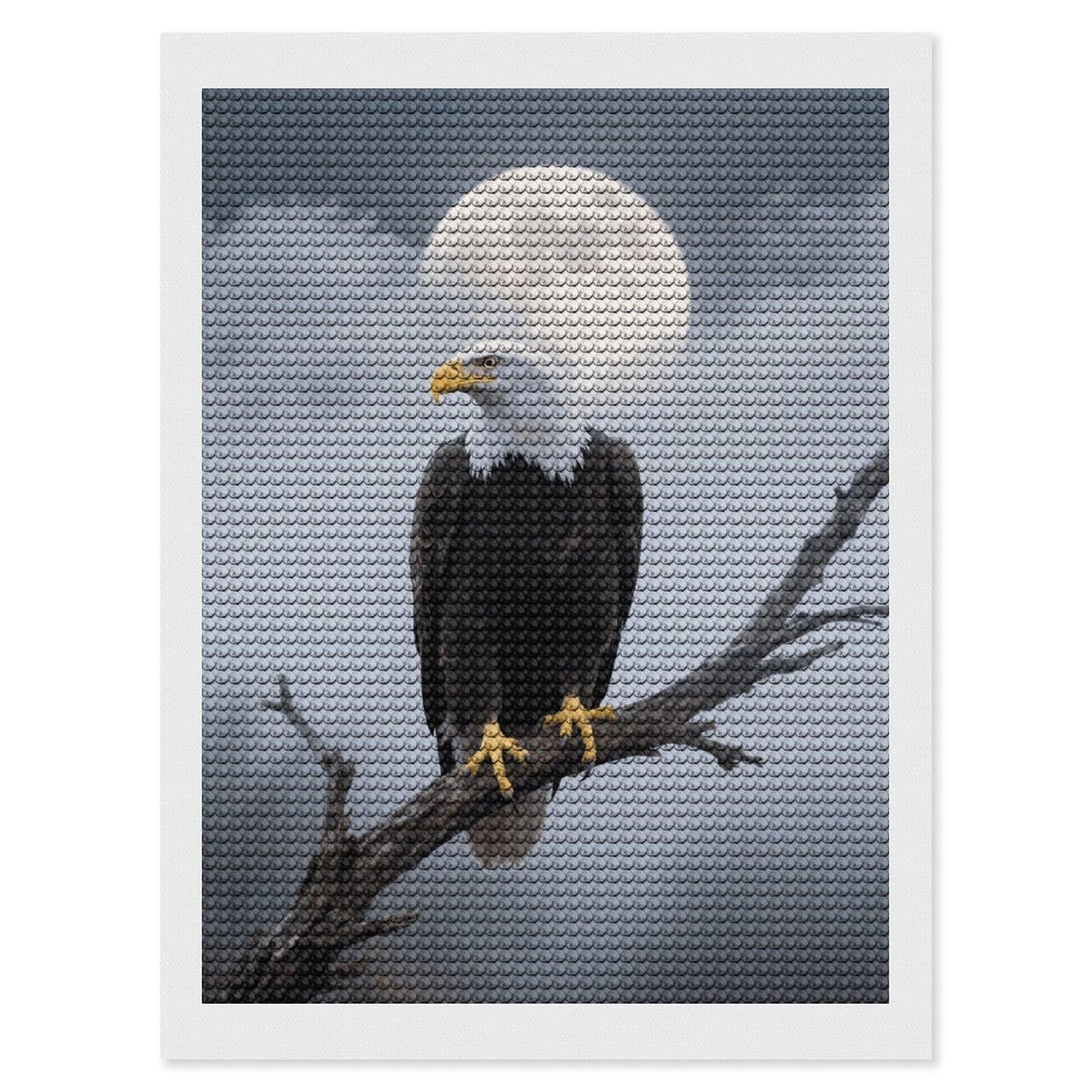 FodPand Eagle Full Moon 5D Diamond Painting Kits for Adults Beginners Full Drill Round Diamond Dots Pictures Gem Art Supplies for Home Wall Room Decoration DIY Craft Set Gift 12x16