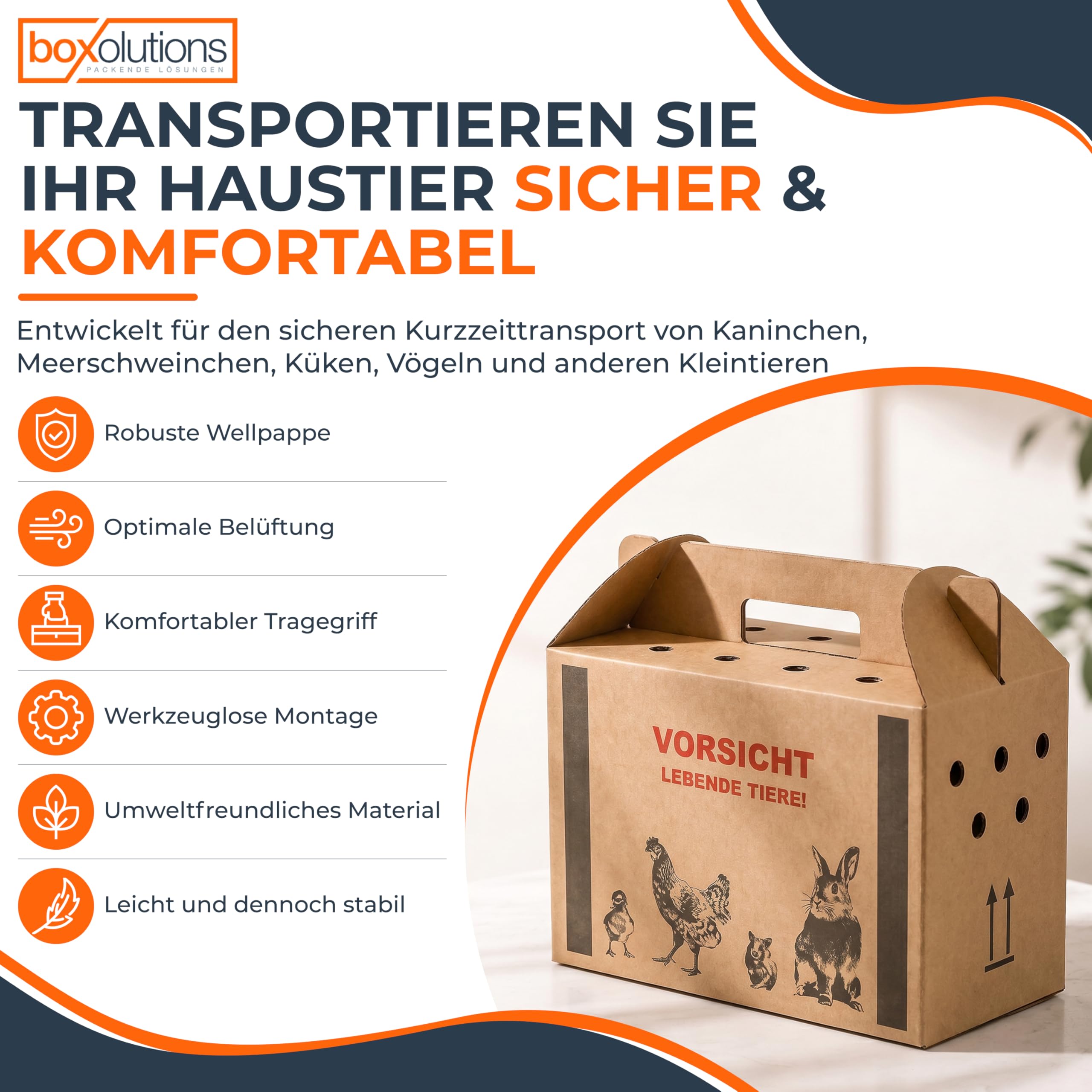 Transportkarton für Tiere Tiertransportkarton für Kleintiere - Geflügeltransportkiste - Hasen Transportbox - Hühnertransportbox - Transportbox Vogel - 580 x 309 x 369 mm (L) - 10 Stück