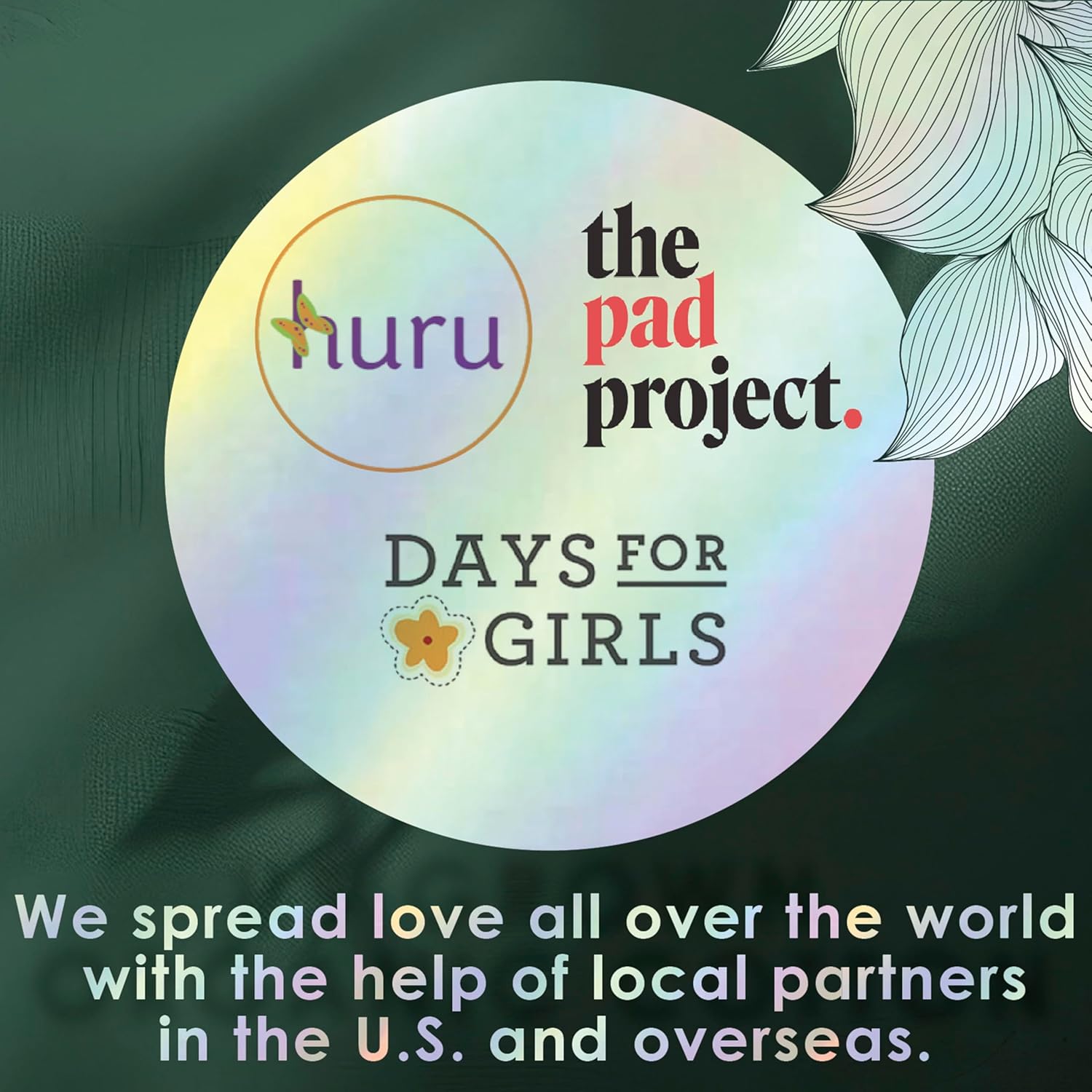 L. Ultra Thin Pads for Women, Organic Cotton Top Layer, Super Absorbency, Menstrual Pads with Wings, Made Without Synthetic Pesticides and Fragrances, 42 Count - Image 9