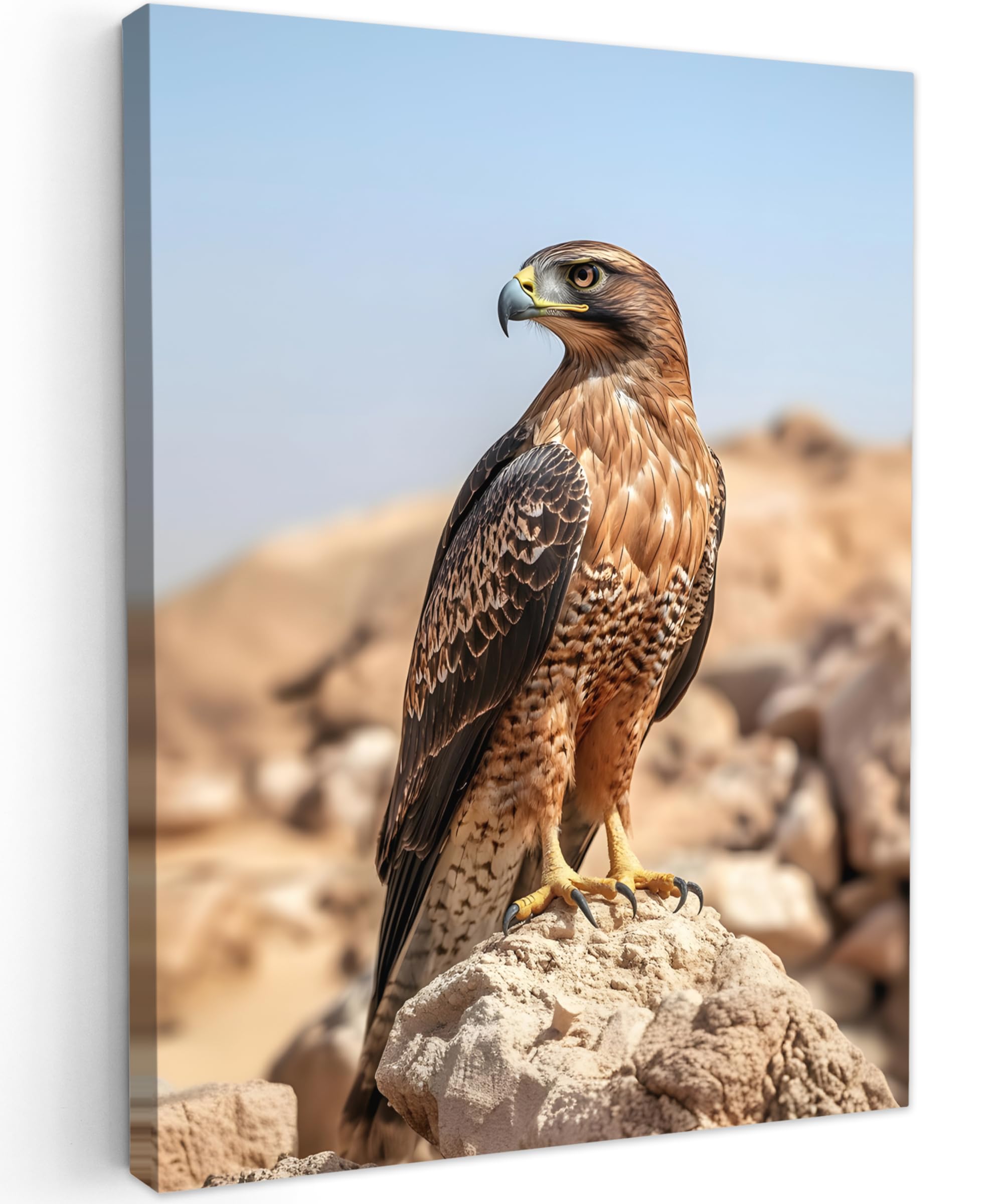 MuchoWow© Canvas Wall Art 24"x31" / 60x80 cm Decor Hanging Pictures for Living Room Canvus Artwork Deco Walls Falcon - Bird - Rock - Power