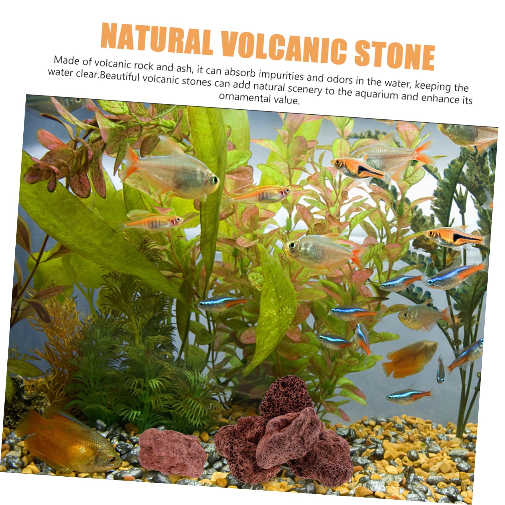 Toddmomy Ornements en Pierre Volcanique Faits À La Main Pierres Décoratives pour Aquarium Roche Volcanique Naturelle pour Plantes Succulentes