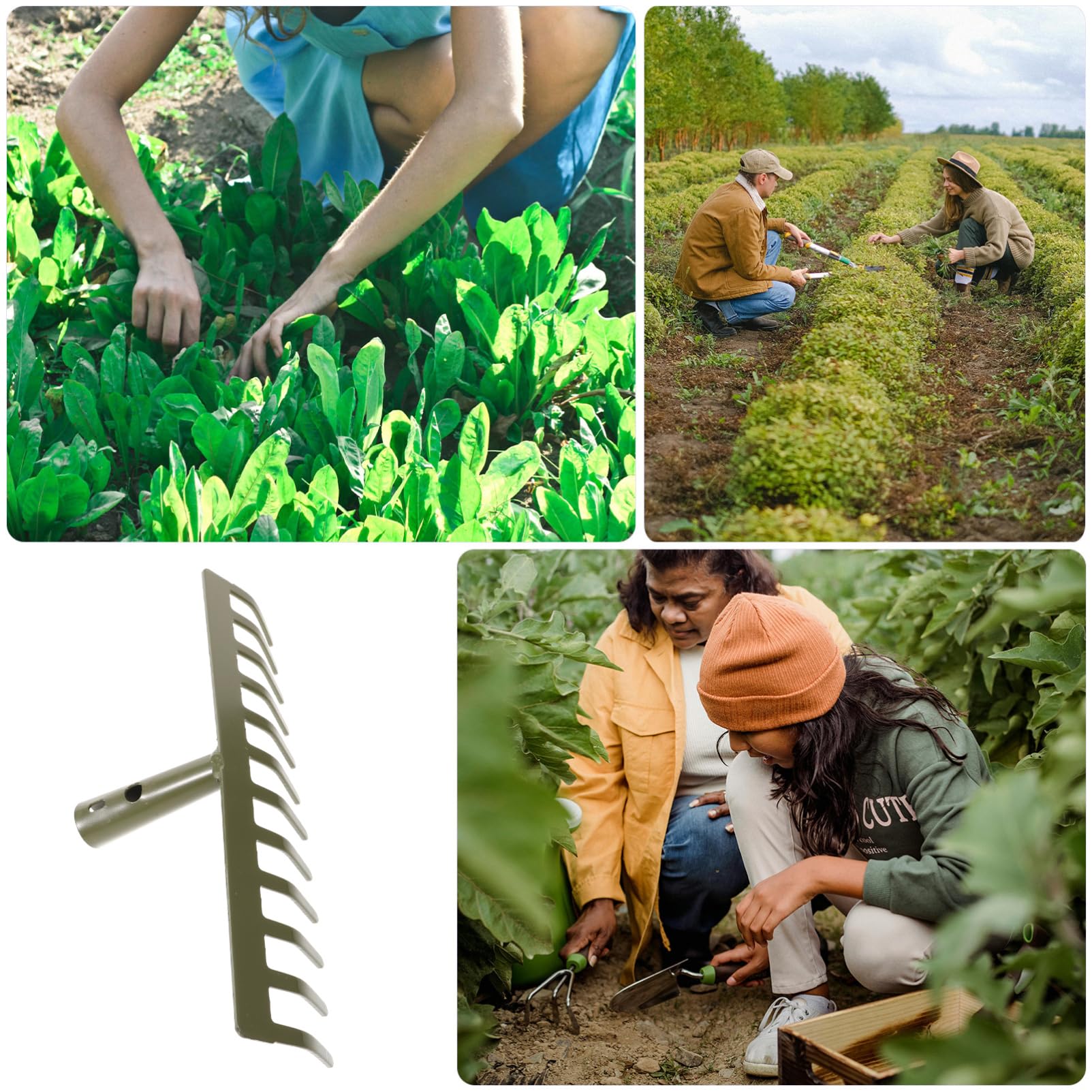 Angoily 2 Piezas Herramientas De Jardinería Cultivador Involuntario Escardador Mascota Manual Cortacésped Rastrillos De Hojas Pequeñas Guadaña Sostuvo Exterior Hoz Acero Carbono Green