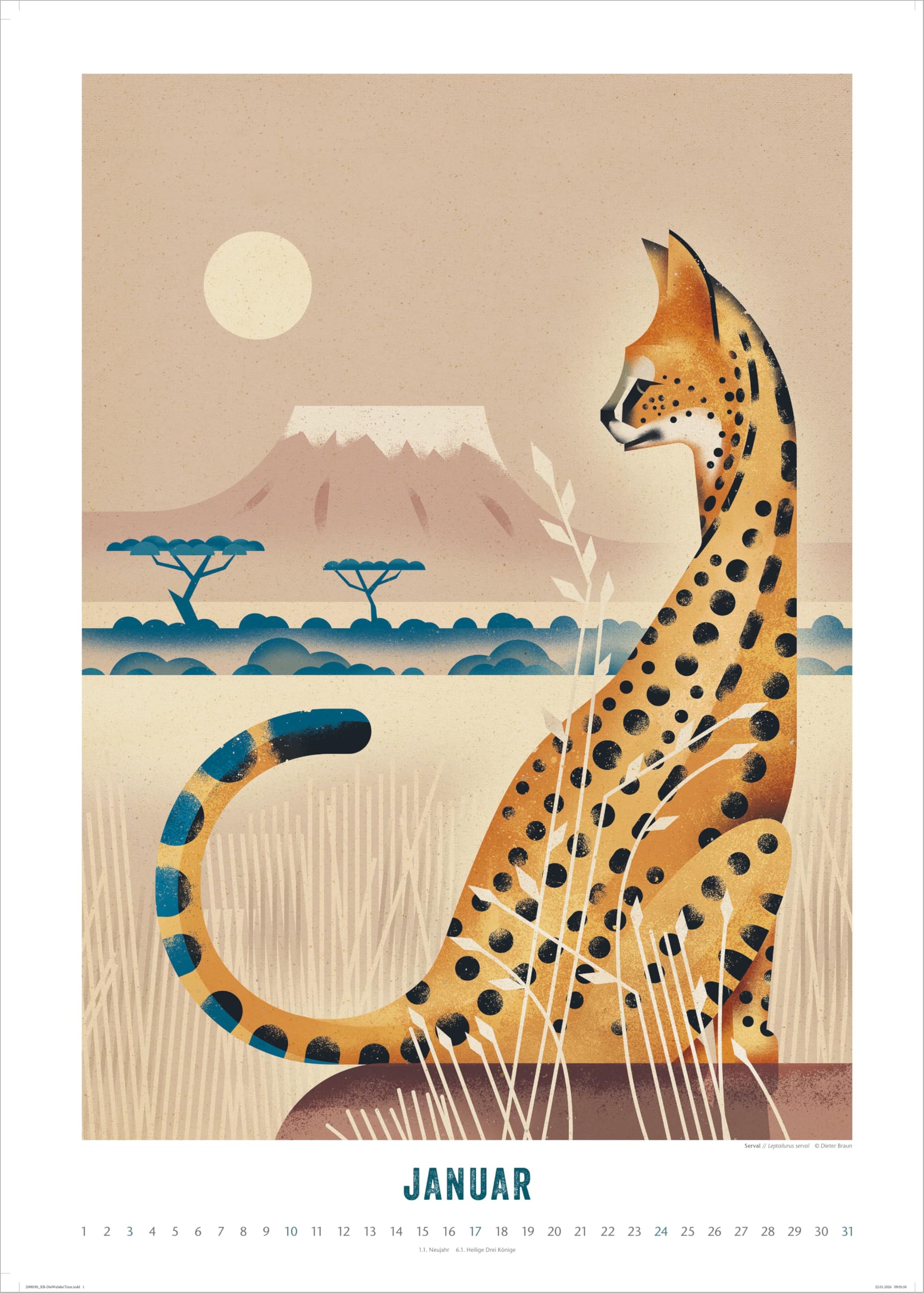 Die Welt der Tiere 2027: Wandkalender 50 x 70 cm mit einzigartigen Tier-Illustrationen und Spiralbindung