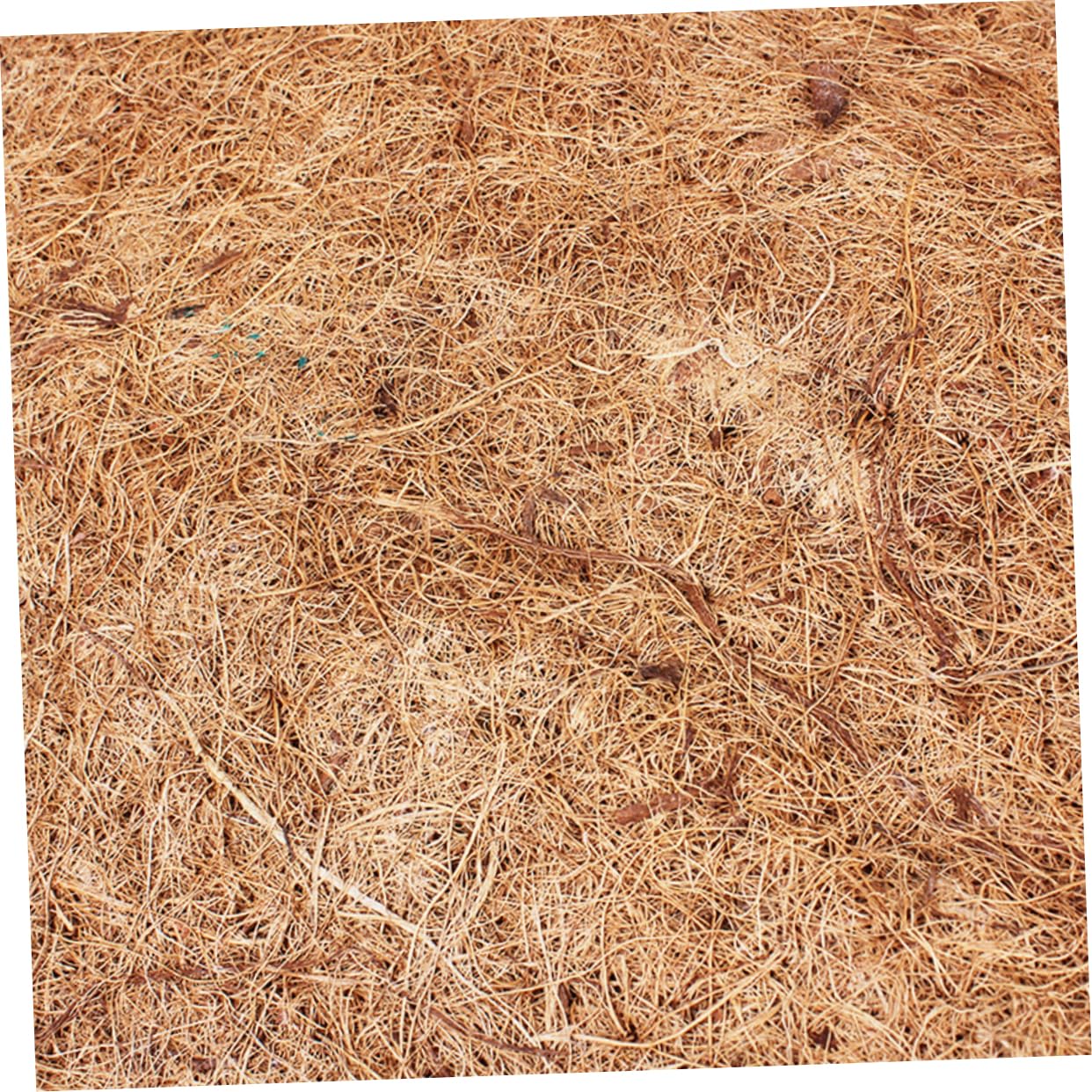 BESPORTBLE 2 Pièces Tapis Brun De Noix De Tapis De Reptile Tapis en Fibre De en Bois