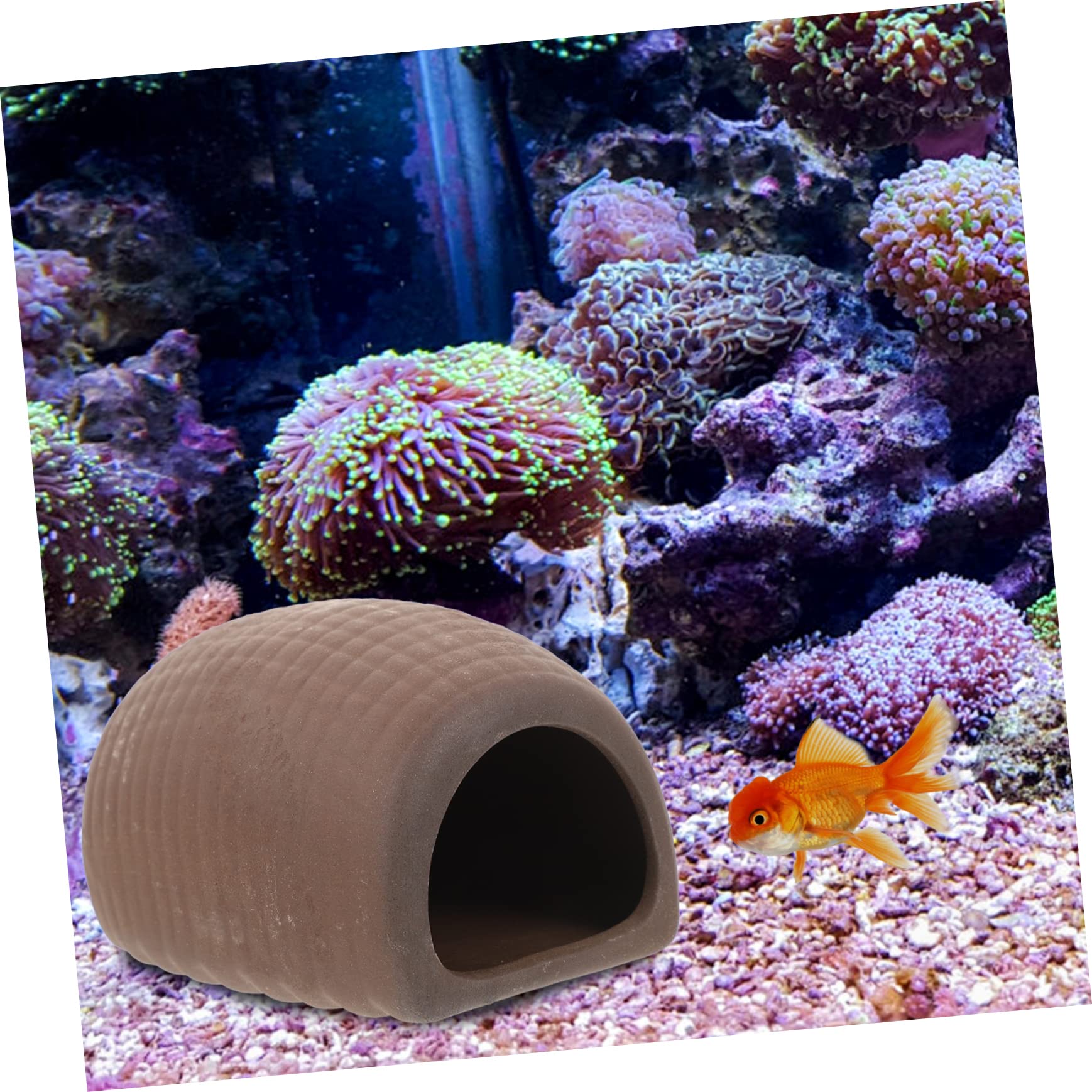 Sosoport 3 Sätze Aquarienfische Aus Keramik Fische Züchten Aquarium Versteck Aquariumzubehör Fischzucht Aquarium Zubehör Garnelenzuchthöhle Netz Panzerversteck Zarte Fischhöhle 2 Stück * 3