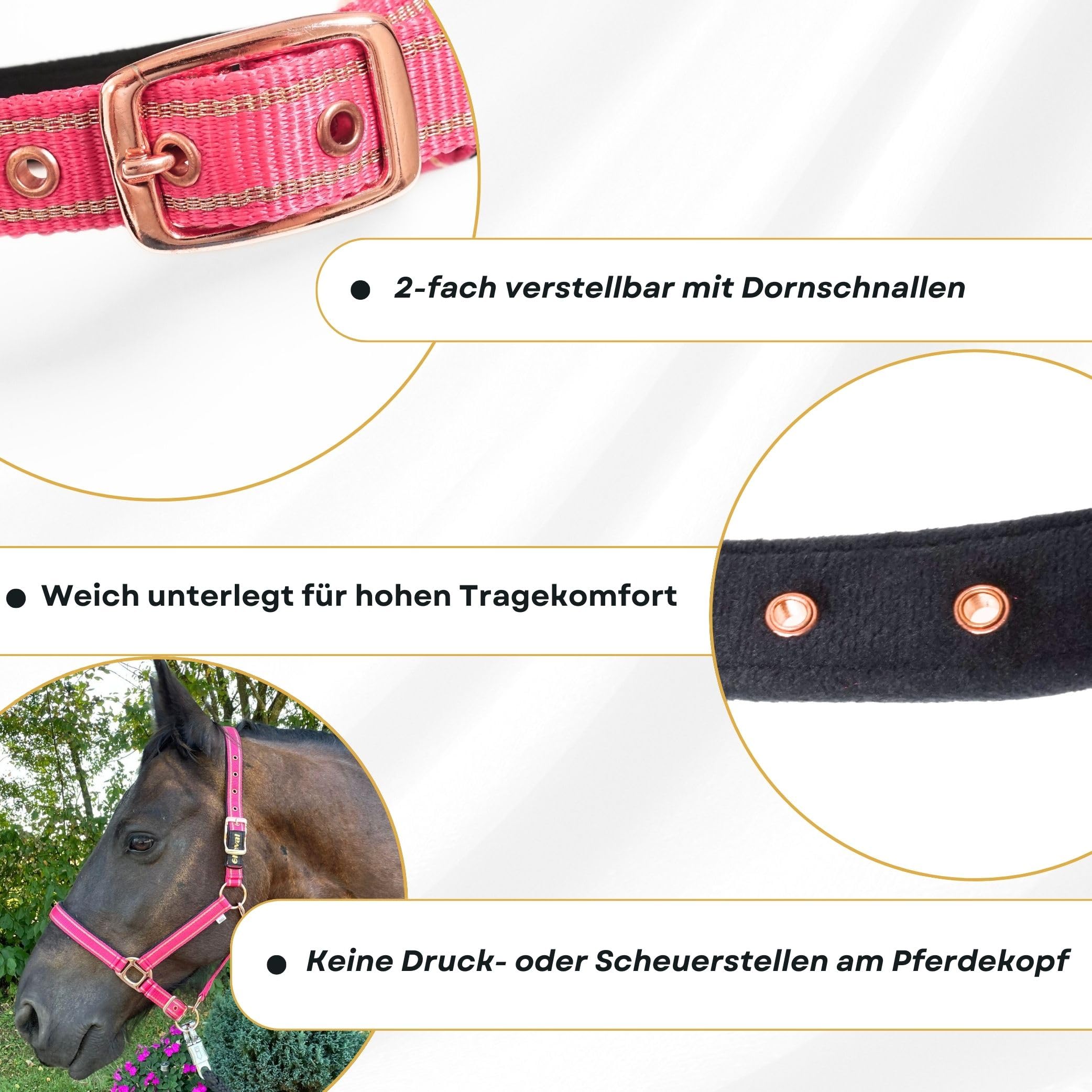 Licol Cheval SUI - Cuir Noir Nickelé - Taille Complète Avec 3 Pierres - Inde