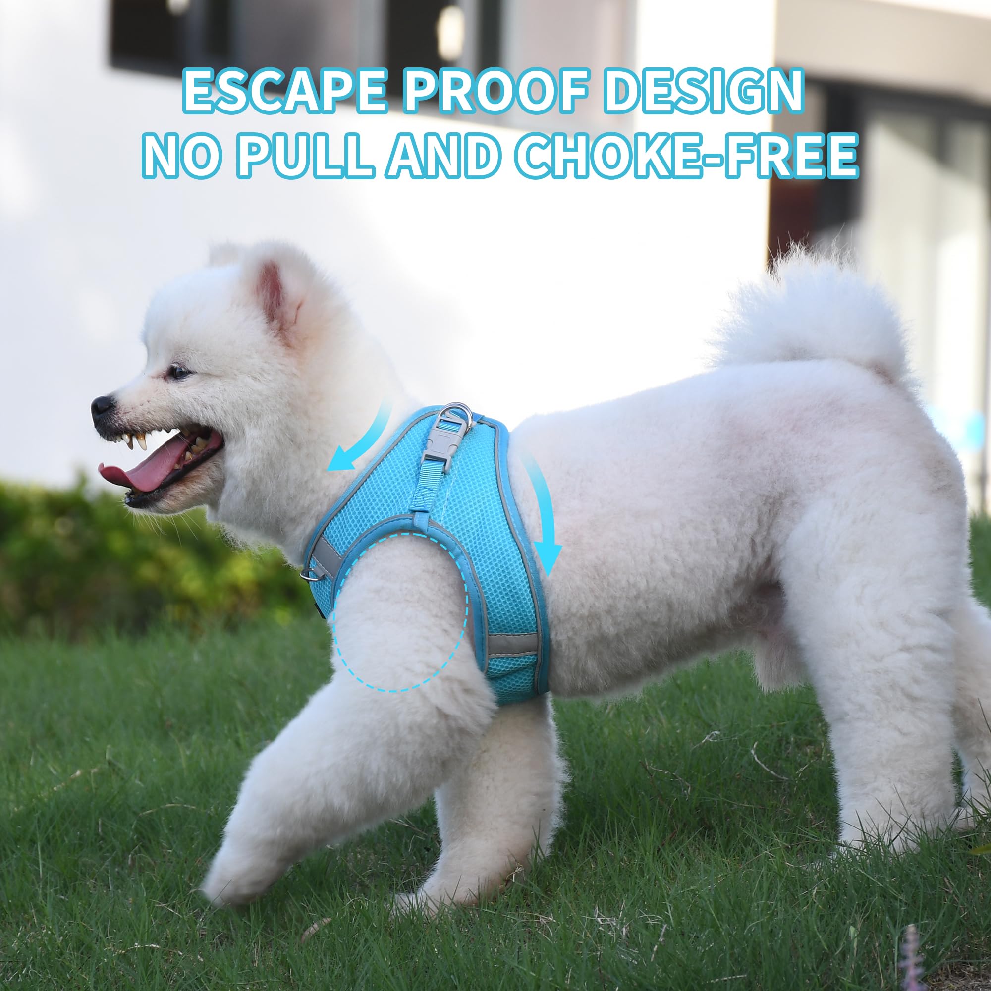 AIITLE Dog Harness and Leash Set, No Pull Step in Puppy Harness with Super Breathable Mesh, Reflective Puppy Essentials for Outdoor Walking, Training for Small Dogs, Cats Blue XS - Image 2