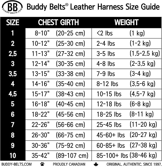 BUDDY BELT Harness Moonwalk - ラグジュアリーエディション6