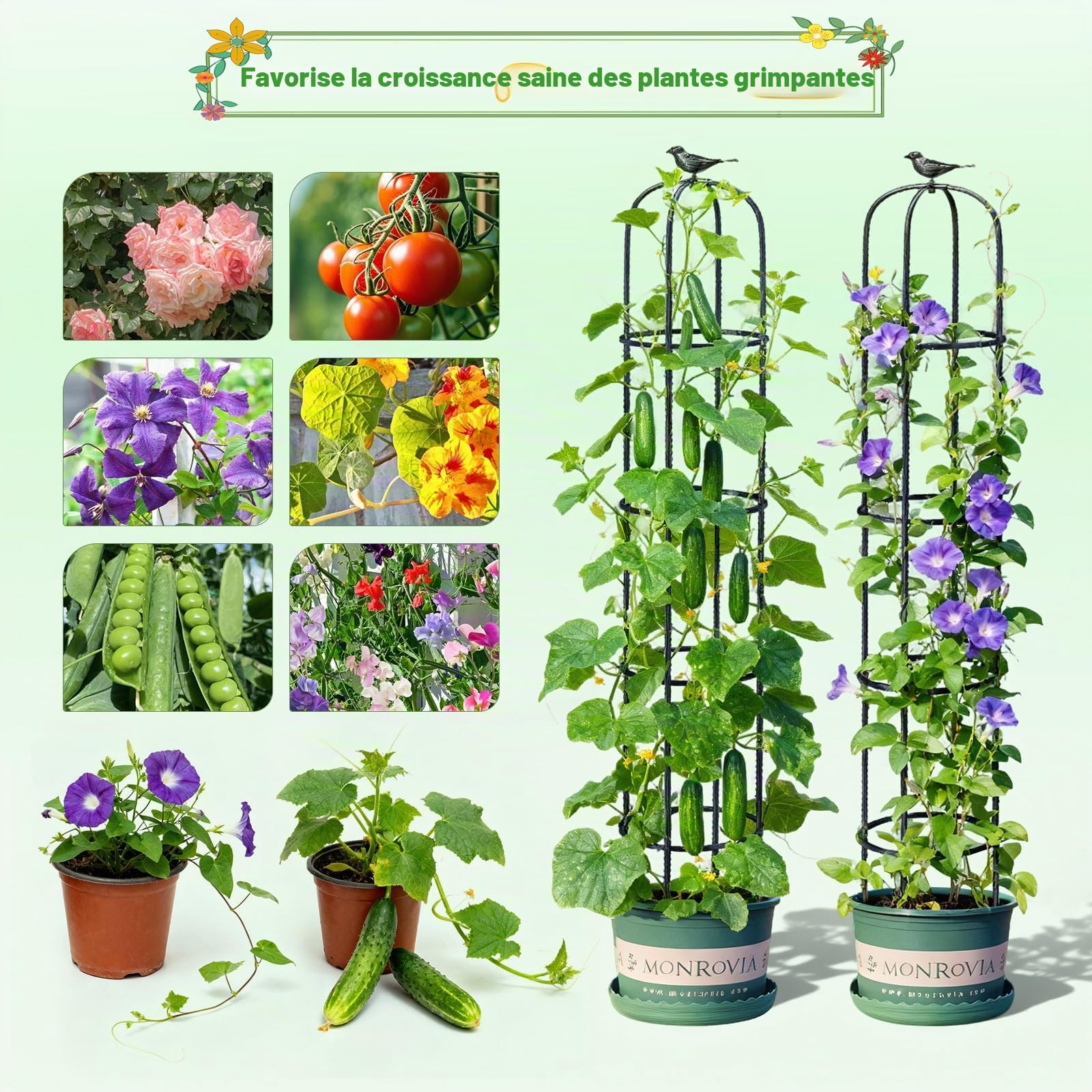 MQUPIN Treillis de Jardin pour Plantes Grimpantes,192CM Noir Tour Jardin Obélisque Treillis Métal Antirouille Plante Pot Support Escalade pour Intérieur Extérieur Fleurs Légumes Fruits(2 Pièces)