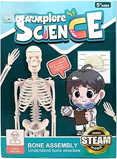 لعبة نموذج هيكل عظام تعليمية للاطفال