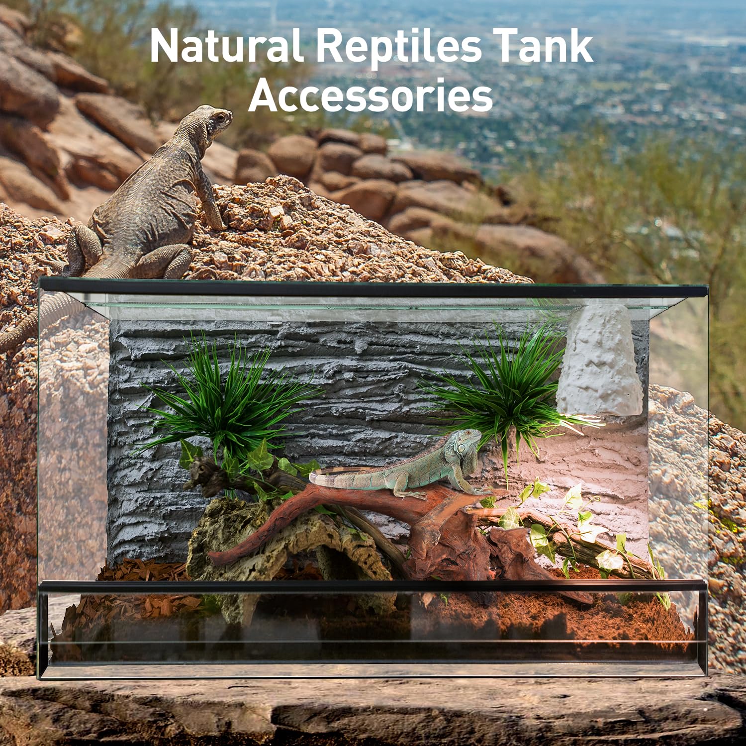 WDEFUN Natural Driftwood for Aquarium Decor, 2-Piece 10''-14'' Large Driftwood for Decorations on Fish Tank, Reptiles Bearded Dragon Accessories or Air Plants — Amazon image 5