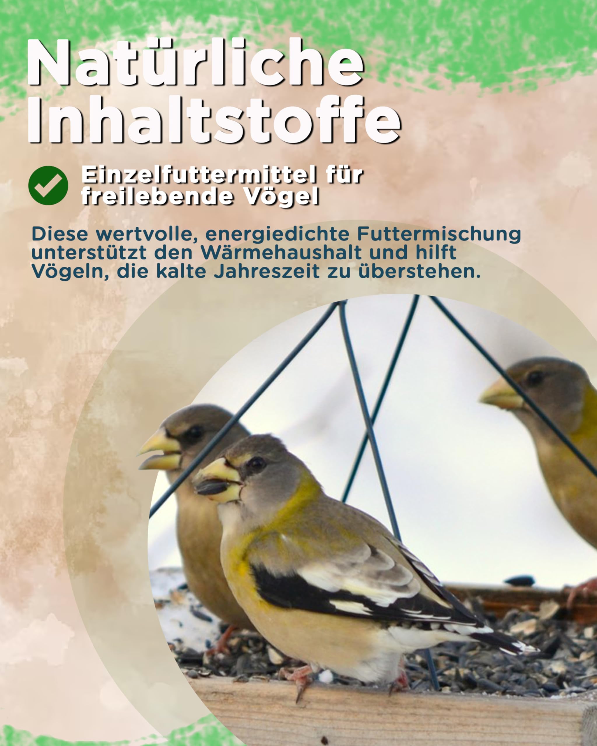 Futterbauer Fettfutter 25 kg, Energiereiches Ergänzungsfutter für Wildvögel, Unterstützt Wärmehaushalt, Ideal für Weichfresser
