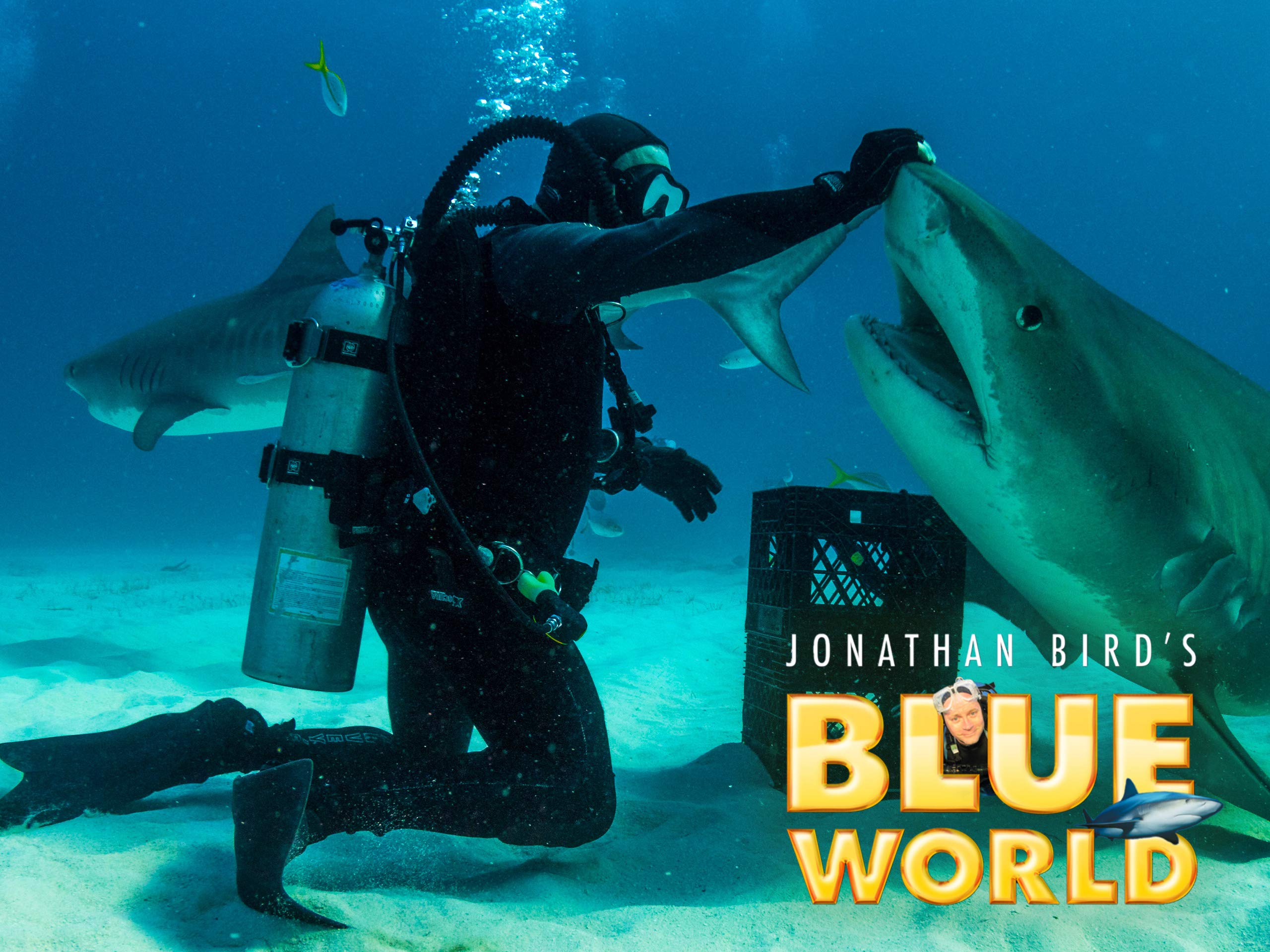 Watch Jonathan Bird's Blue World Prime Video