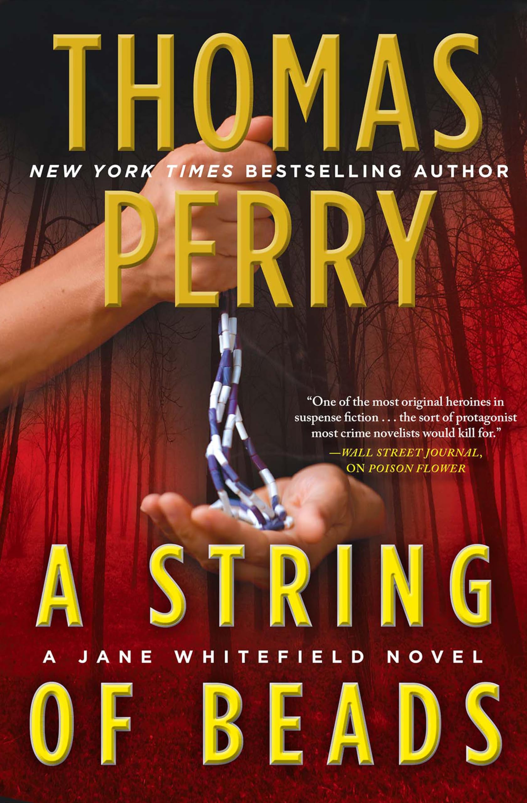 A String of Beads (Jane Whitefield Book 8)