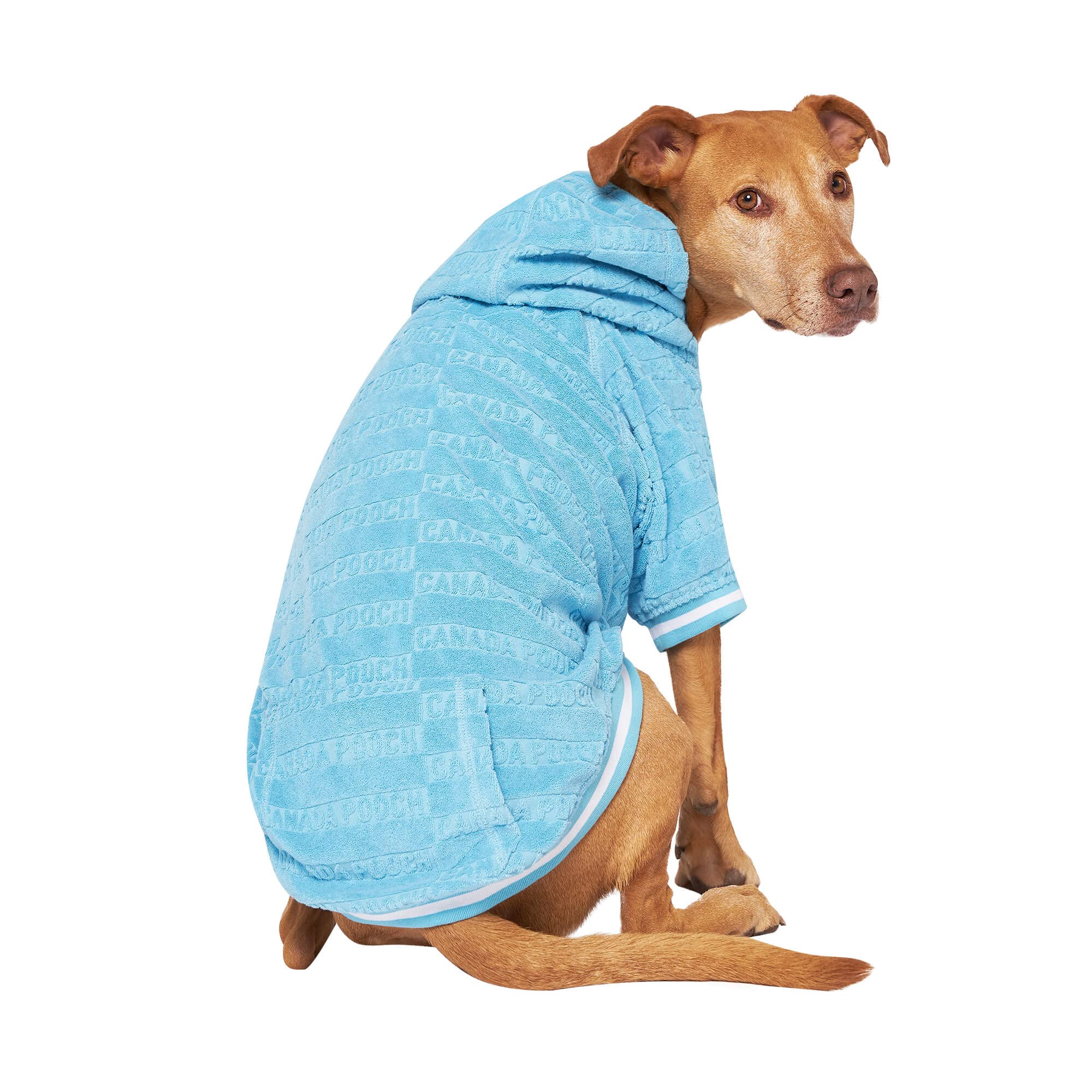 Canada Pooch Blue Beach Bum Dog Towel Hoodie, X-Large