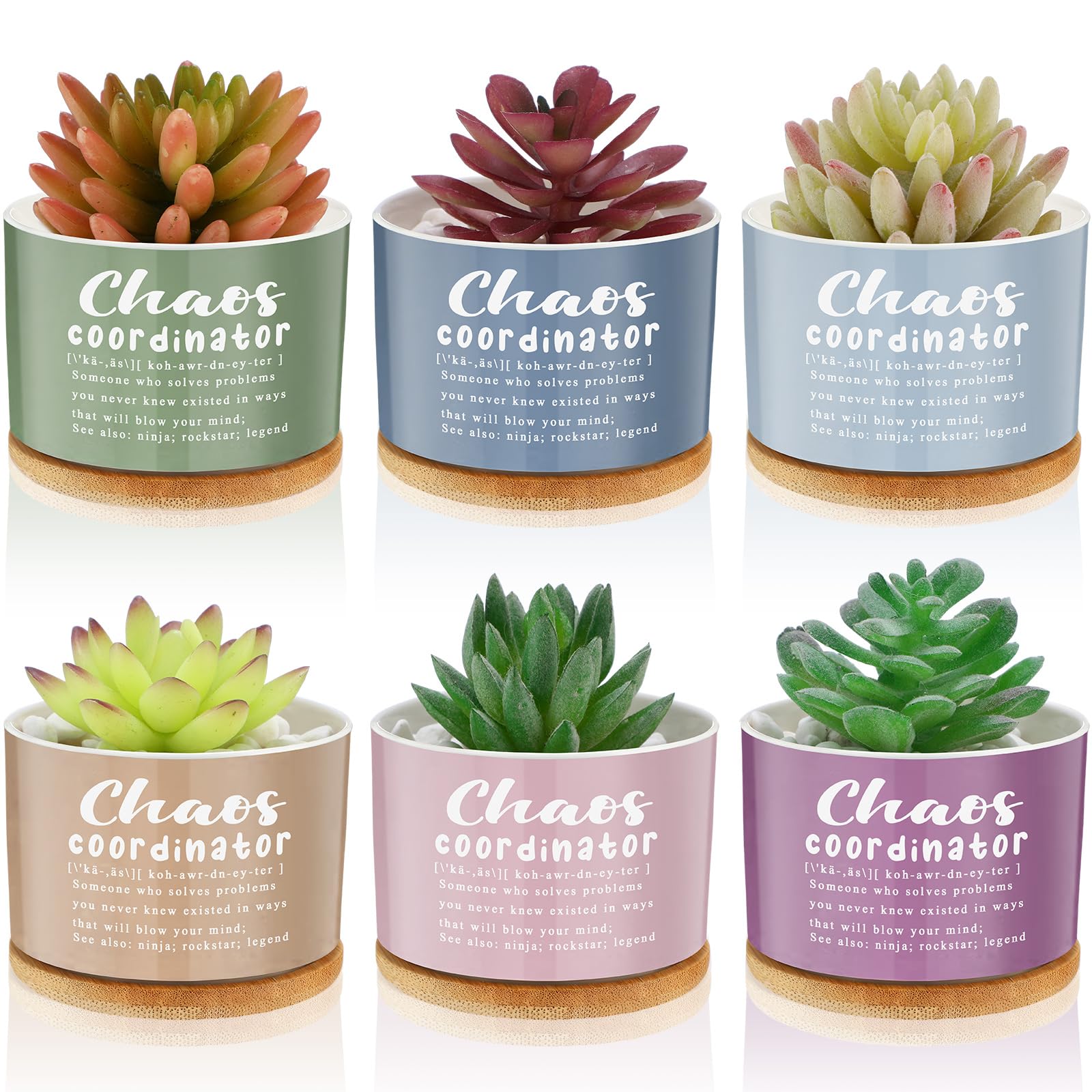 Pots de fleurs en céramique LemonRoad, mini jardinières avec support bambou pour succulentes