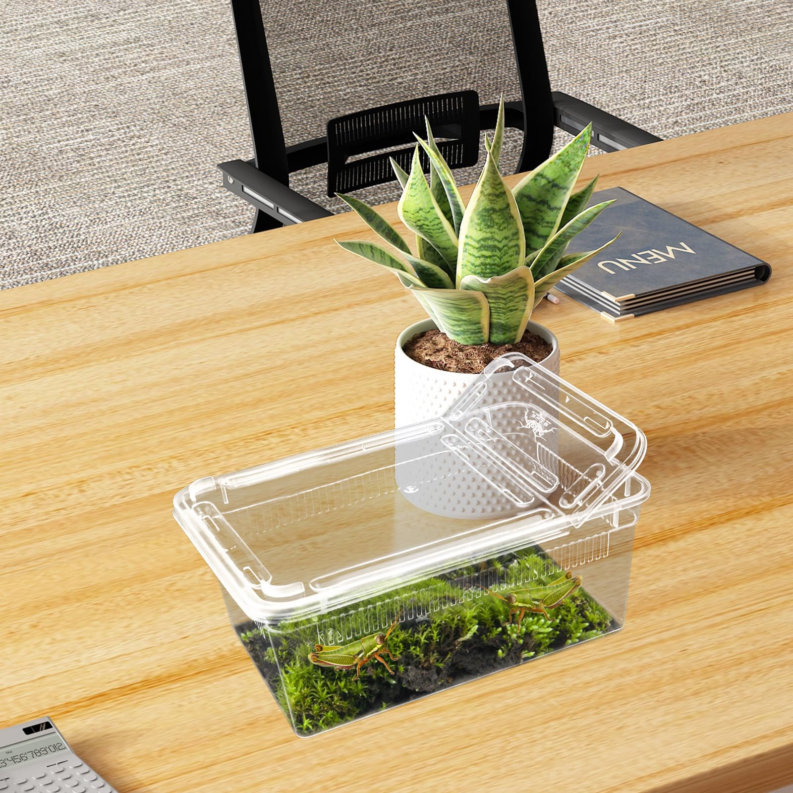 Isopod Futterbox für Reptilien, Kunststoff-Terrarium, Reptilienzuchtbox für Bartgecko, Drache, Eidechse, Spinne, Frosch, Rreptilienträger (transparent), 10 Stück