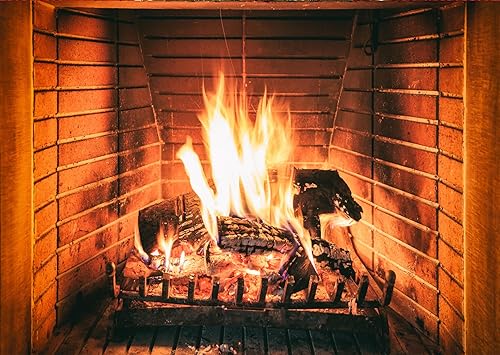 LTLYH Telón de fondo de estudio fotográfico para chimenea de Navidad de 5 x 3 pies, para estudio fotográfico, árboles de Navidad, regalos de