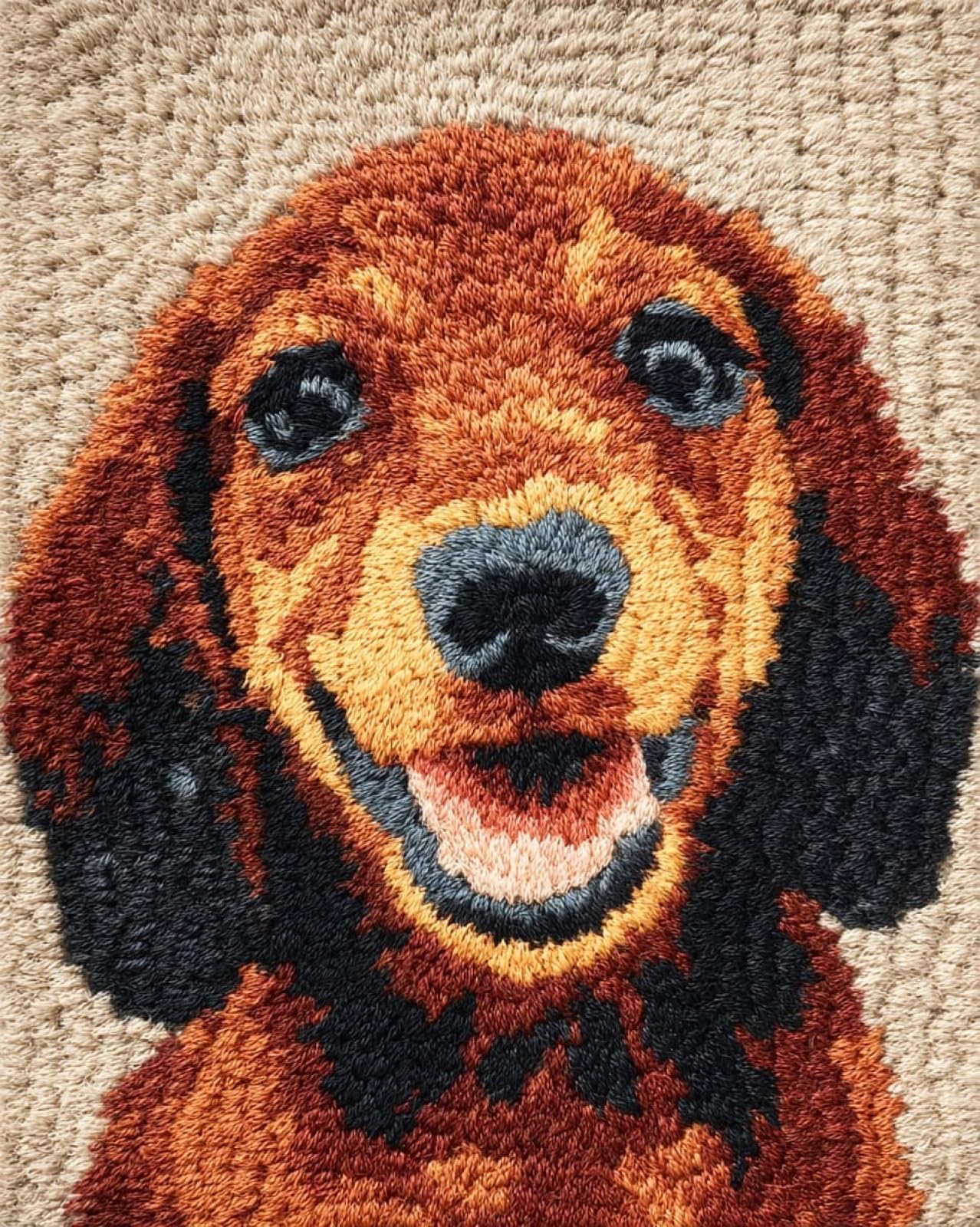 Wallphantom Latch Hook Rug Kits,Happy Dachshund,DIY Crochet Rug Making Kit for Adults Kids,3D Cross Stitch Carpet Embroidery Needlework Crocheting for Home Decor,60x90cm