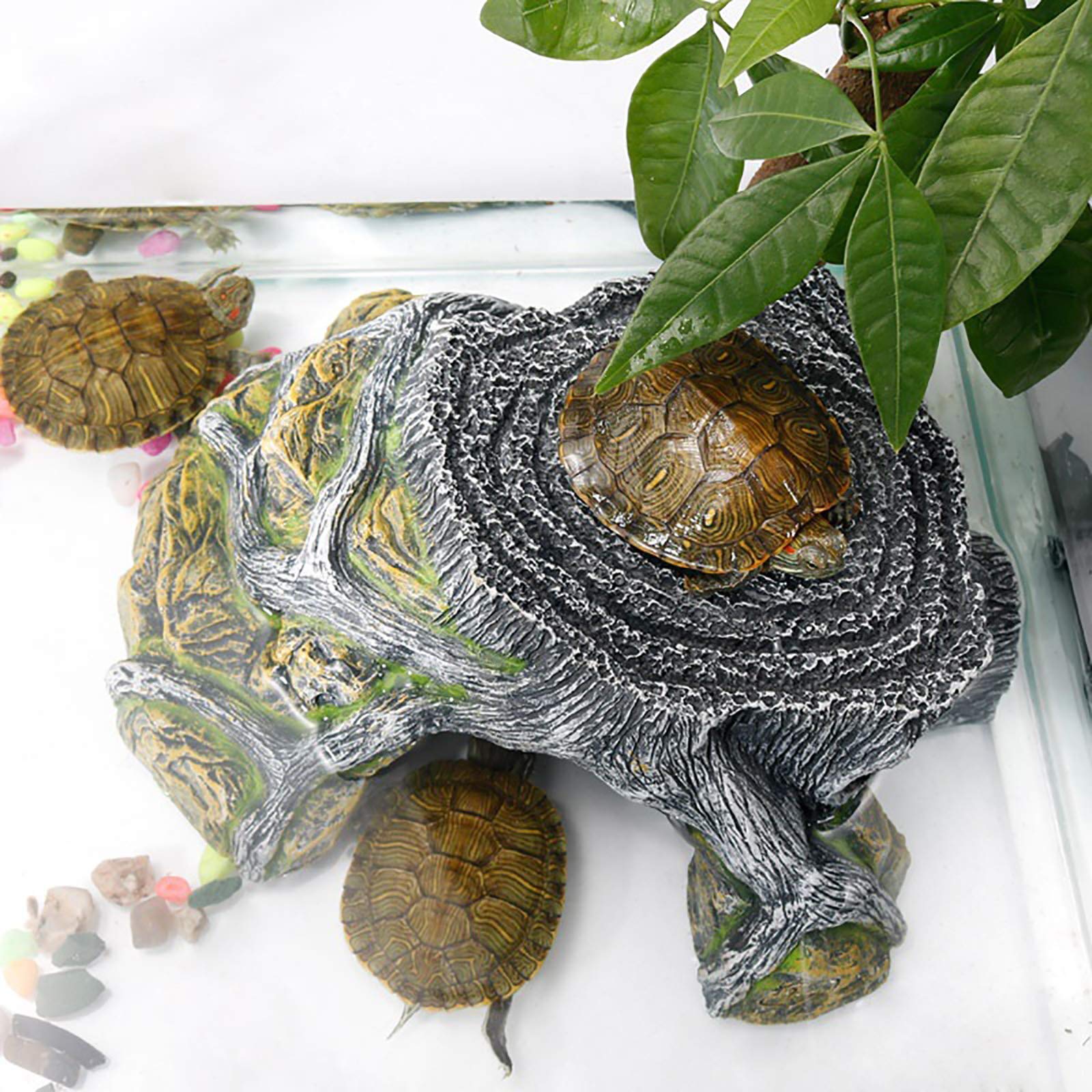 Grotte de Terrarium de Tortues,Résine Plateforme de pèlerinage Habitat caché Aquarium Terrarium décoration Ornement pour Petits lézards Tortues Amphibiens Poisson,XL:41.5 * 28.5cm