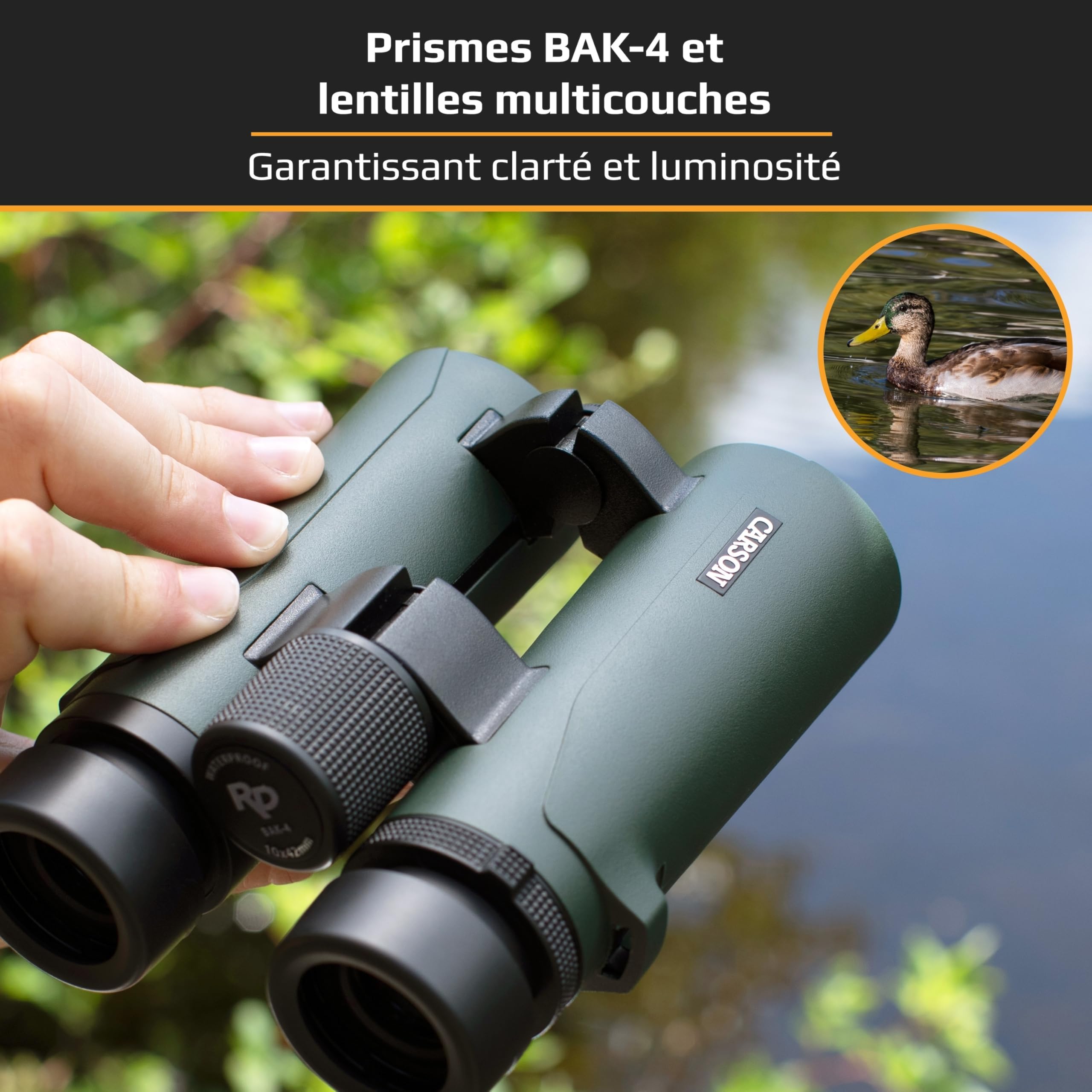 Carson jumelles Série RD 8x42 mm HD complètes et étanches à double pont (RD-842)