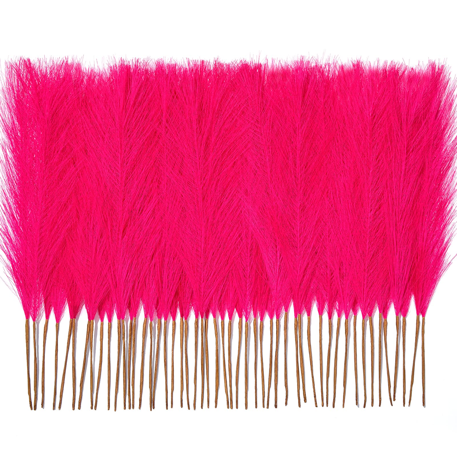 Faylifeway 50 PCS Hot Pink Pampas Grass