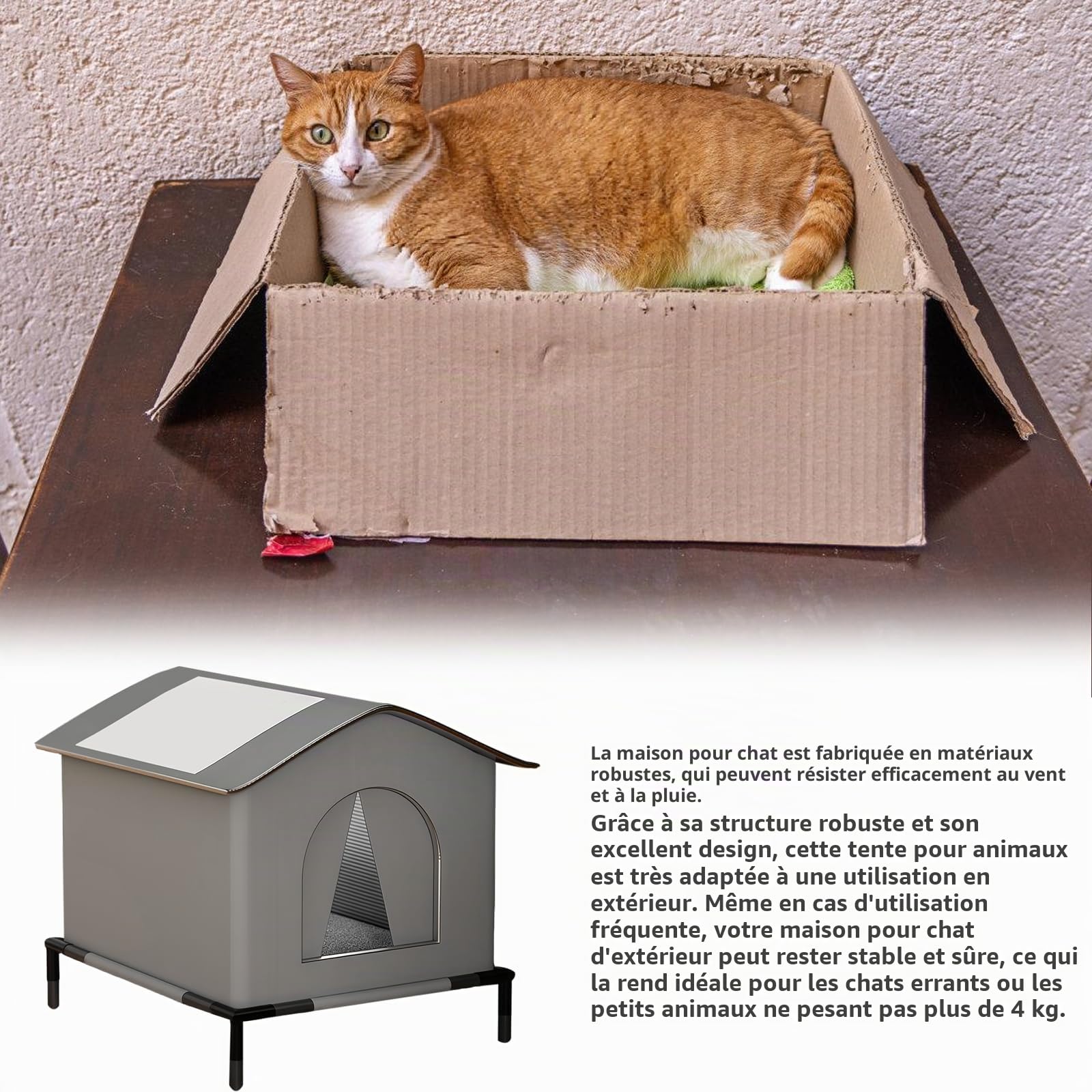 Maison pour chat d'extérieur résistante à l'hiver – Maison pour chat chaude imperméable avec base surélevée et isolation – Tente résistante aux intempéries pour chats errants et petits