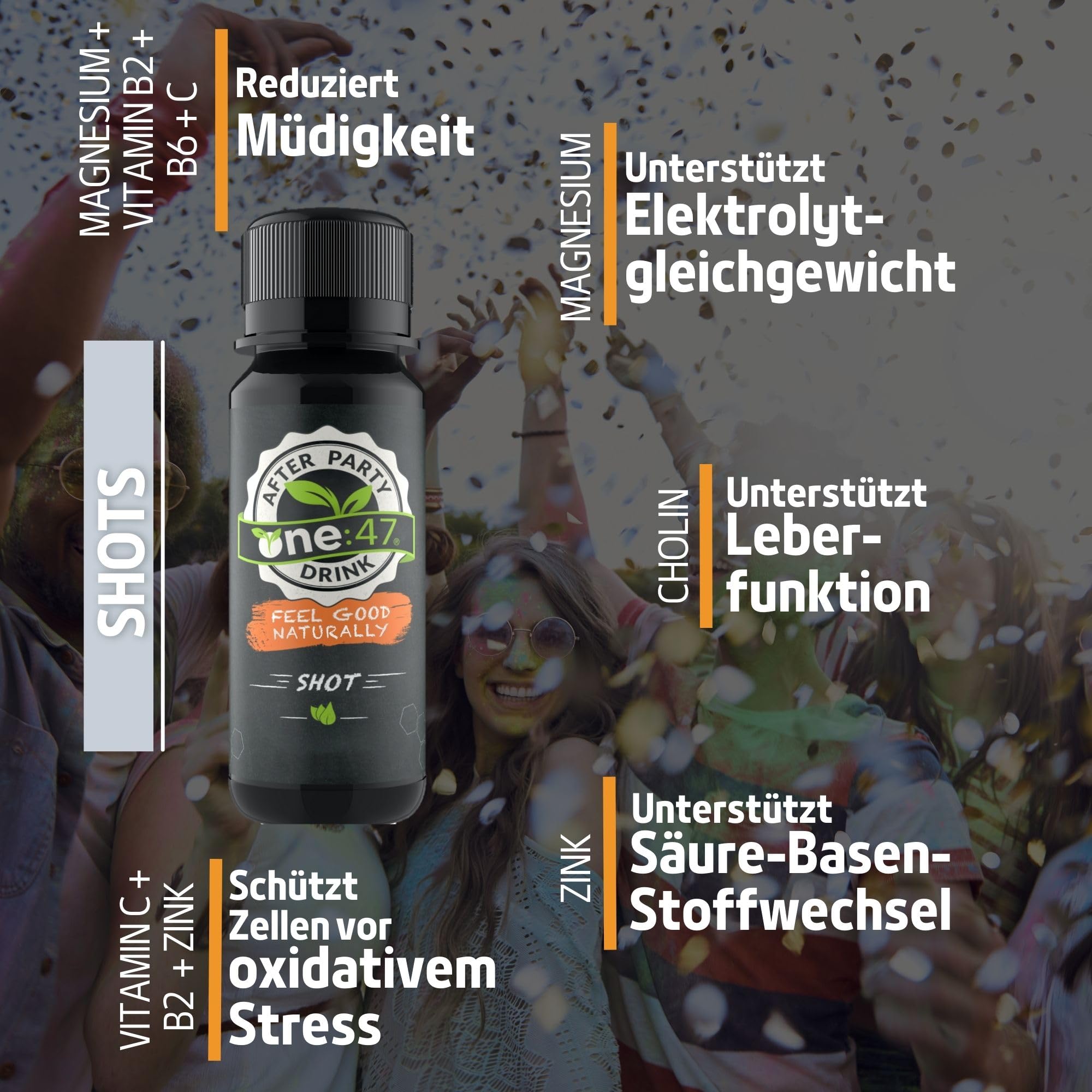 After Party Drink | 12 Shots | Elektrolyte, Vitamine & Mineralstoffe | Basisches Elektrolytgetränk zur Rehydration mit Magnesium, Zink, Vitamin C & B-Vitamine | Vegan | Nahrungsergänzungsmittel